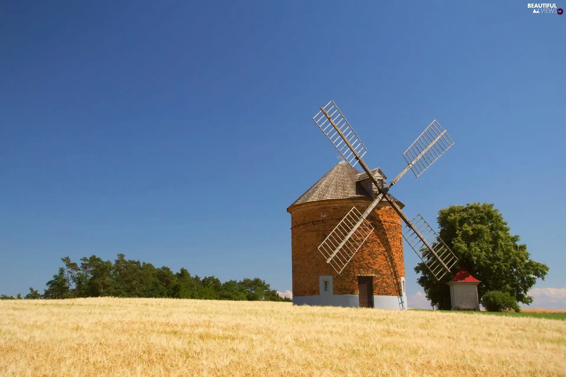 Windmill, trees, viewes, corn