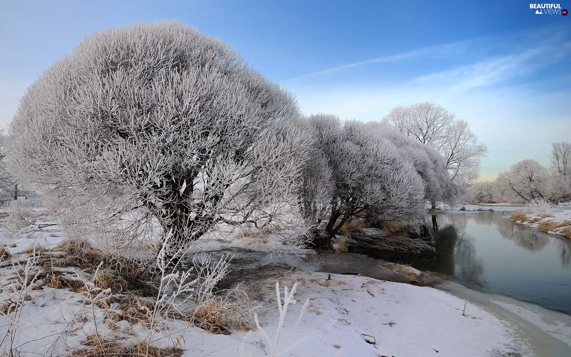 viewes, winter, field, trees, River