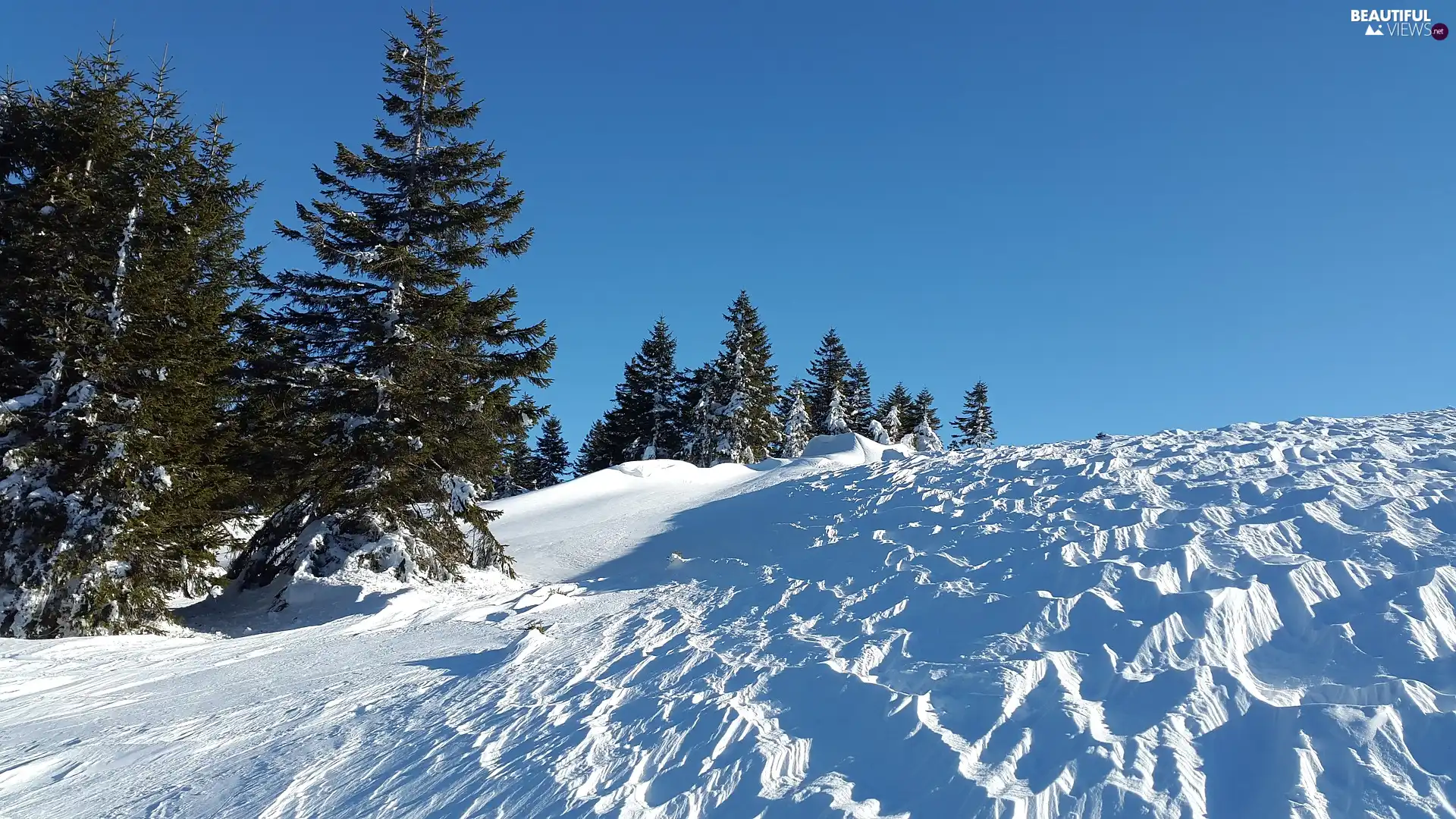 winter, trees, viewes, Hill