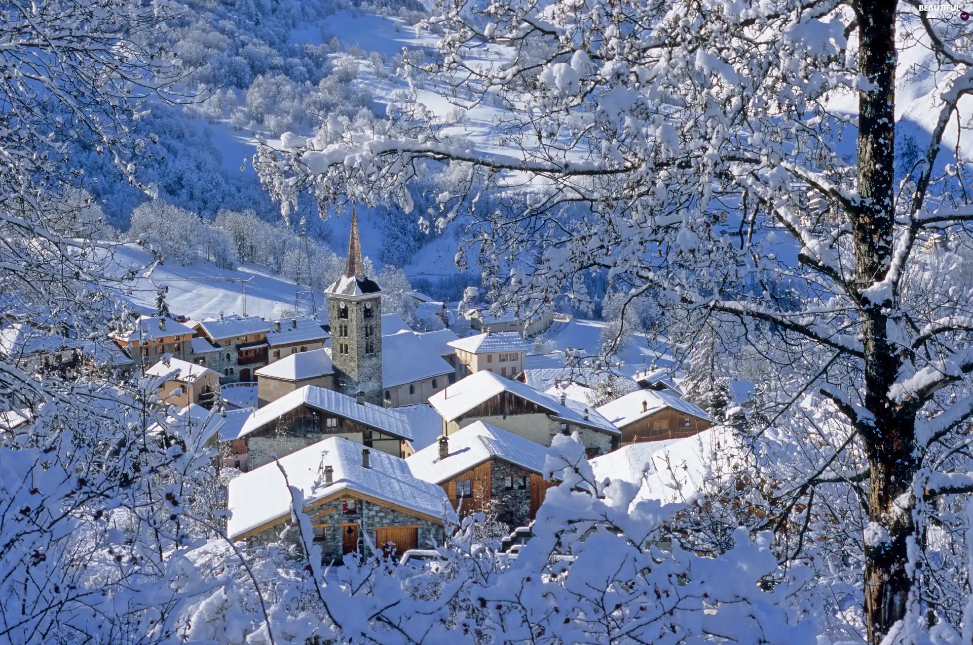 winter, trees, viewes, Houses