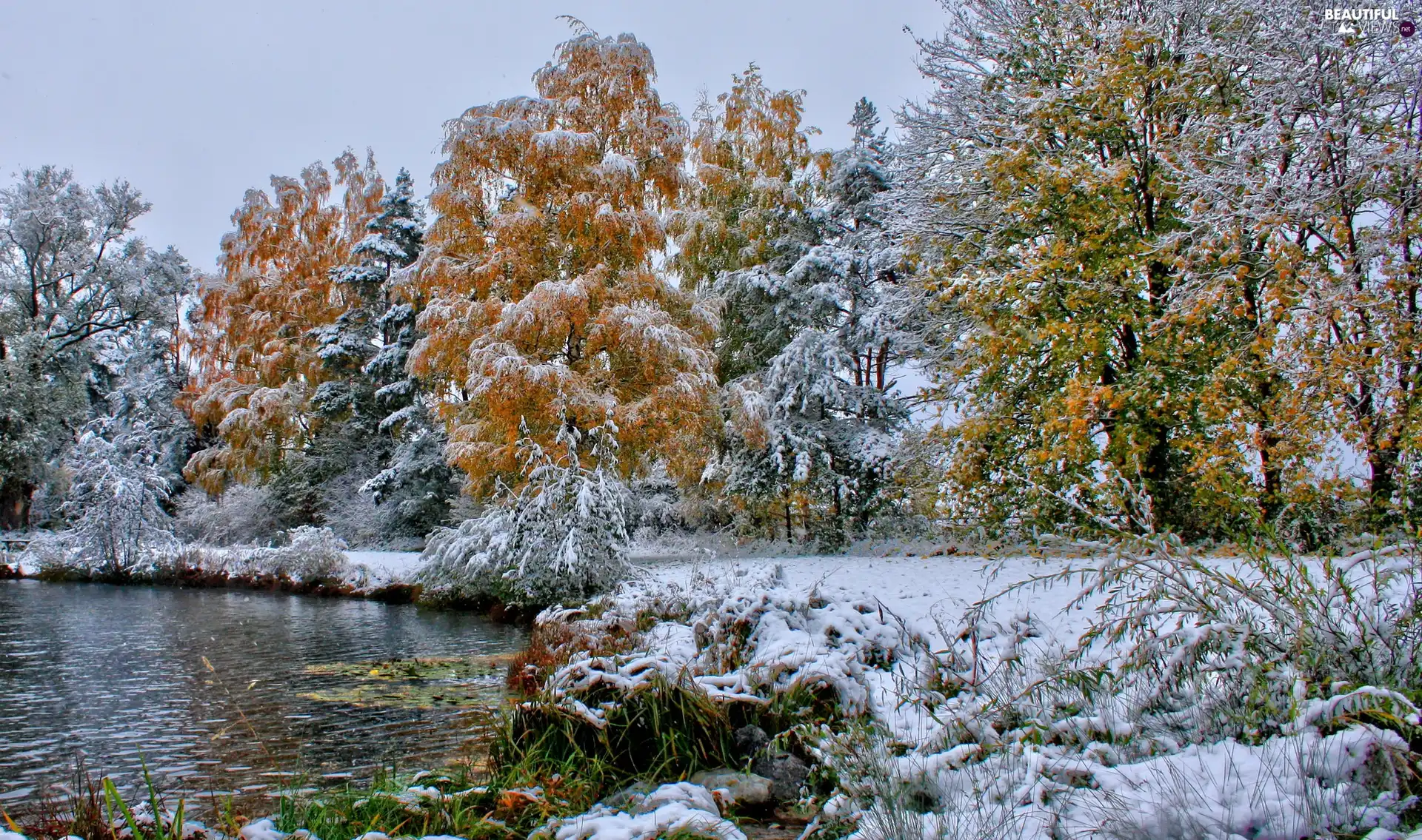 winter, trees, viewes, lake