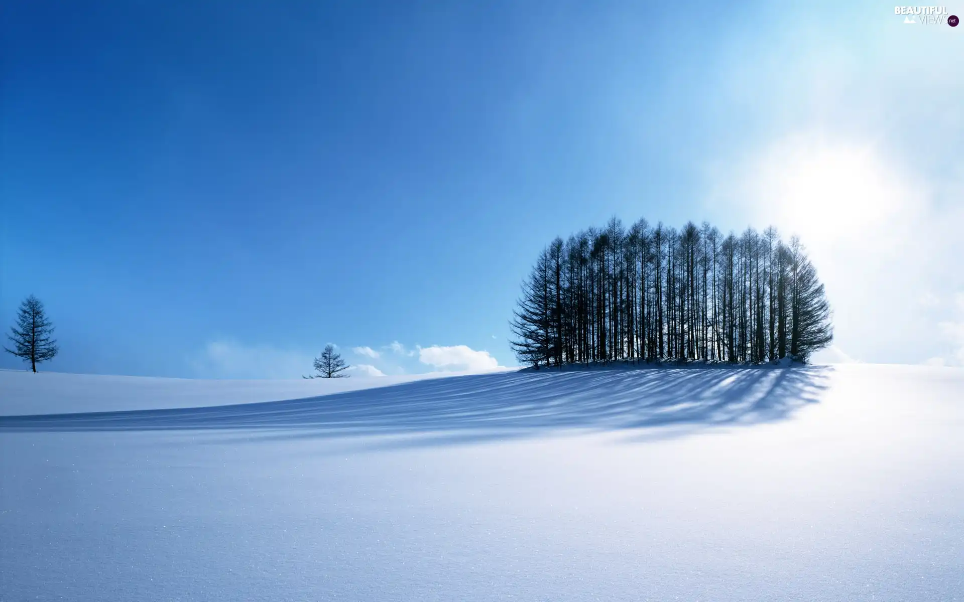 winter, trees, viewes, snow