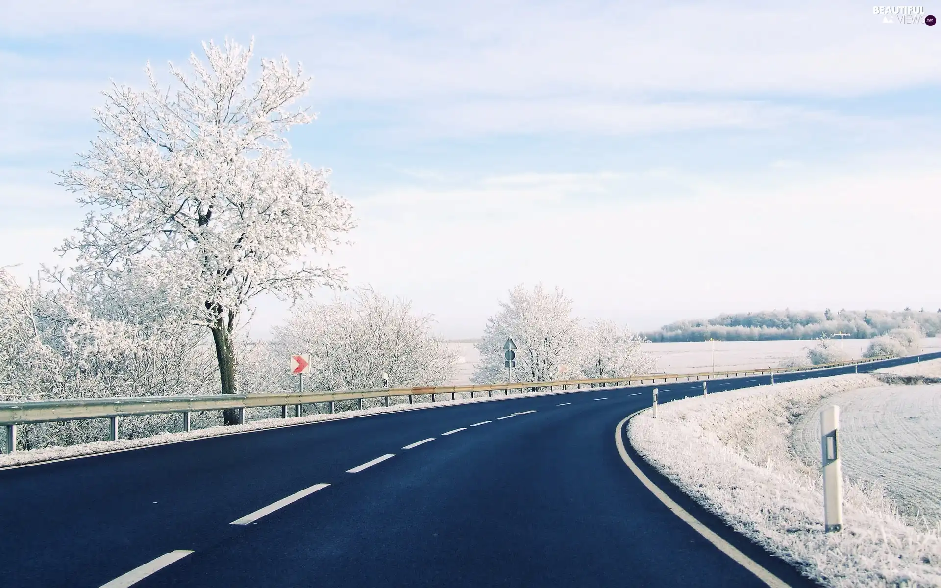 winter, trees, viewes, Way