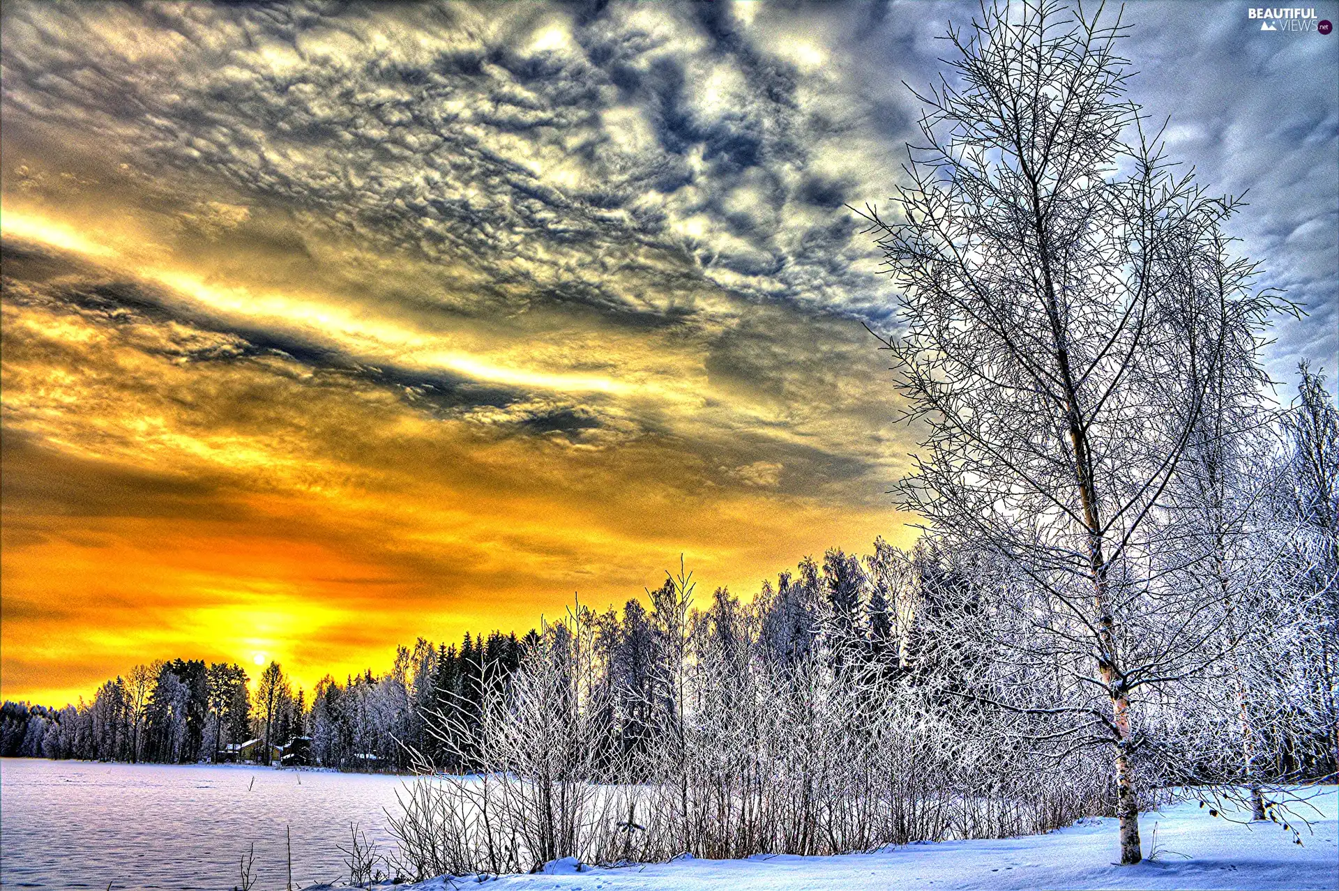 viewes, winter, sun, trees, west