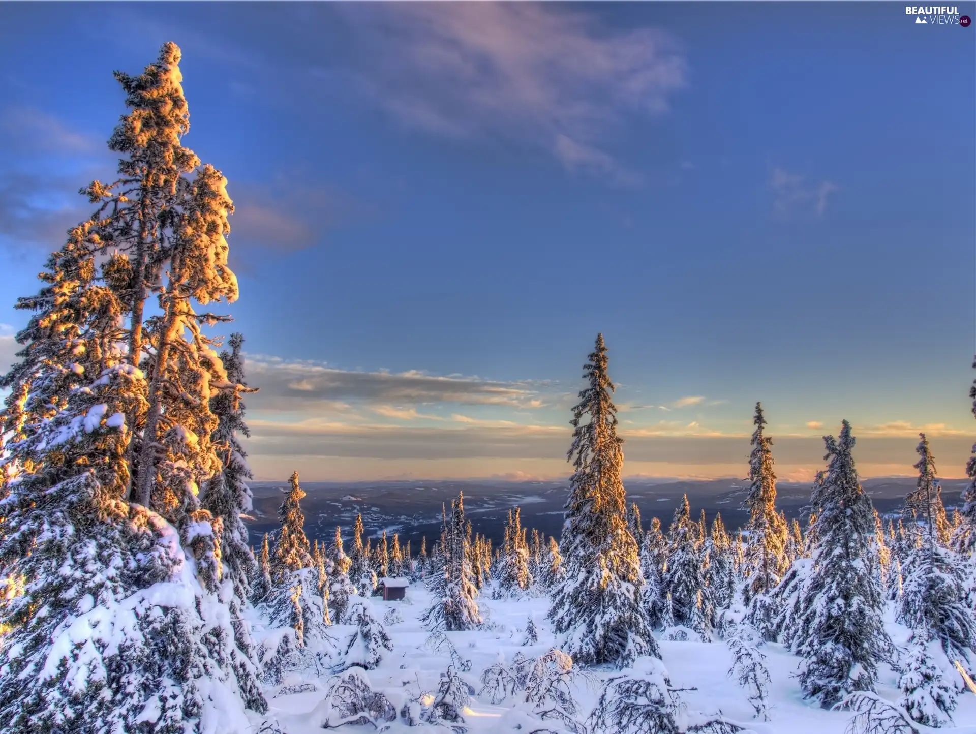 viewes, winter, sun, trees, west