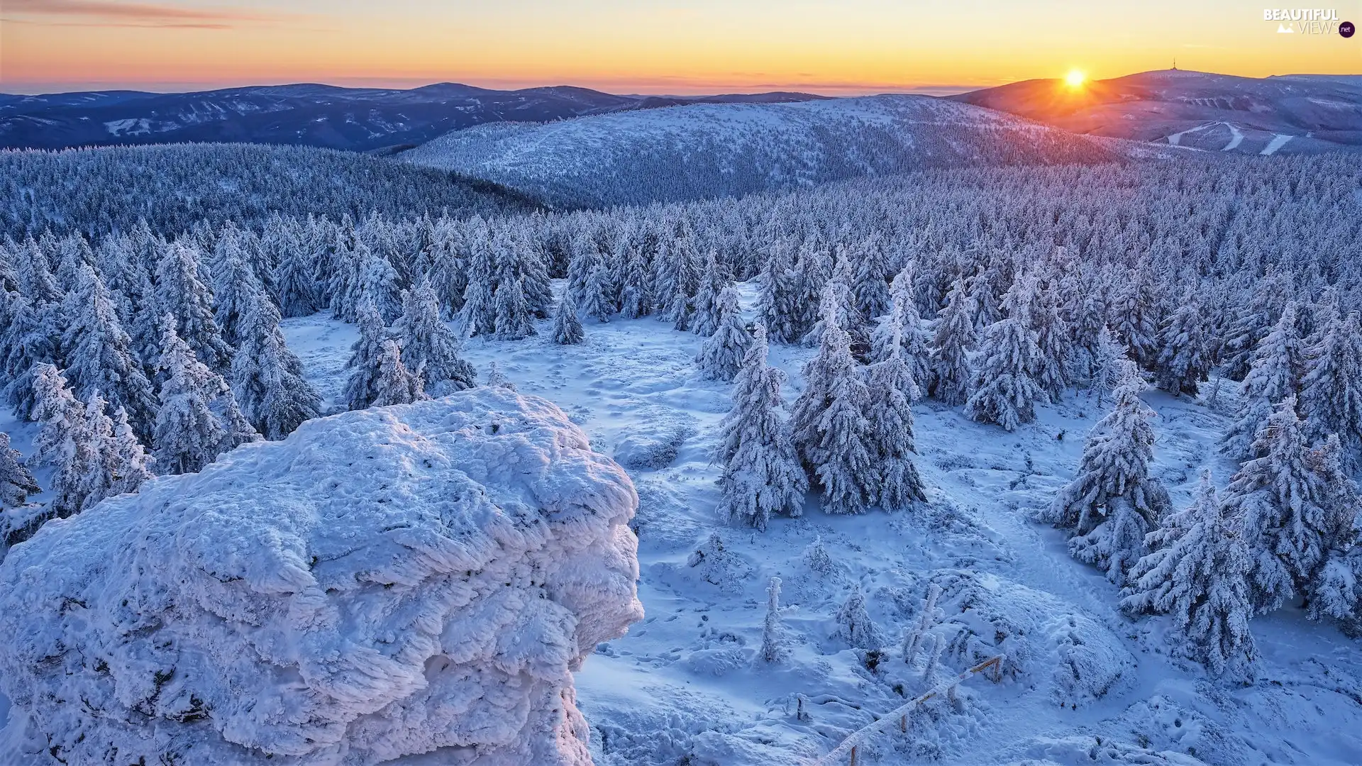Sunrise, snow, woods, trees, Snowy, Mountains, winter, viewes
