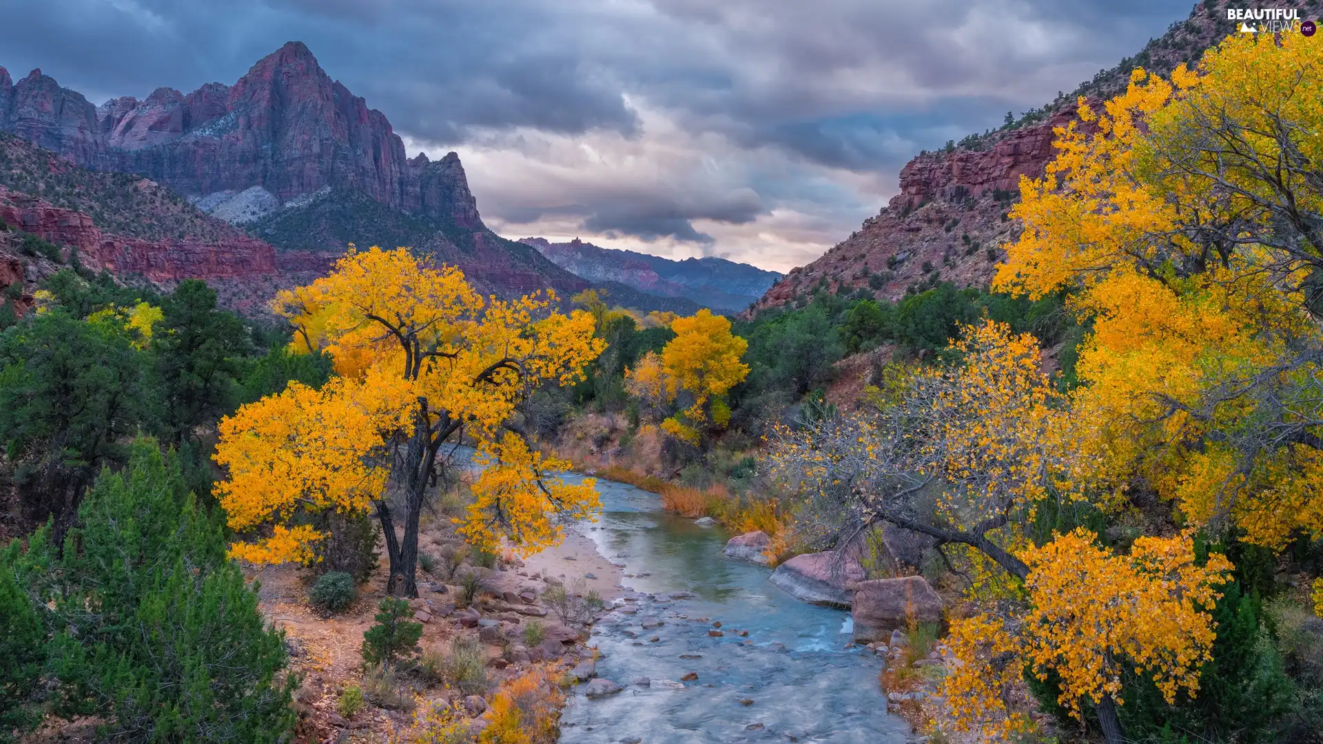 autumn, Watchman Mountains, Stones, Utah State, trees, Zion National Park, Virgin River, The United States, clouds, viewes