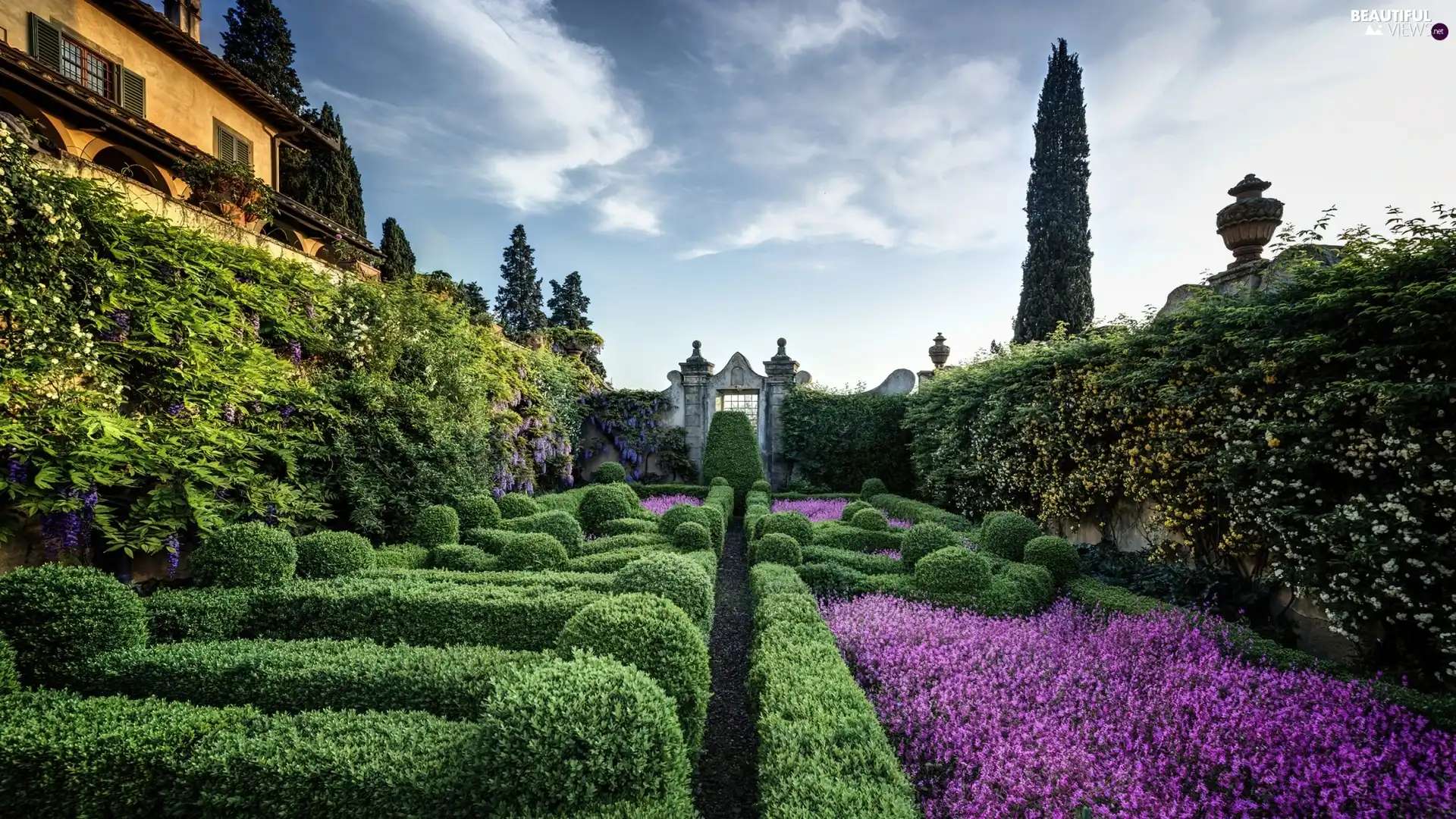 villa, Garden, green