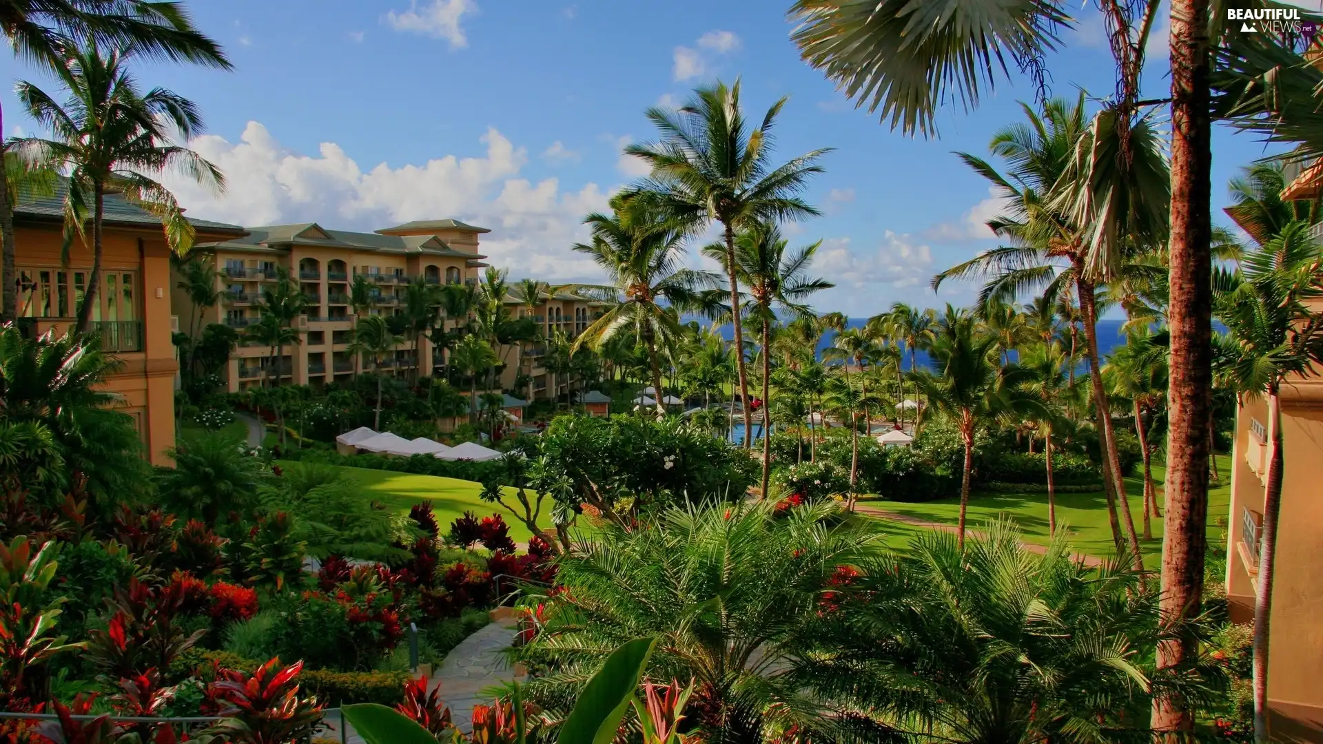 villa, Garden, Palms