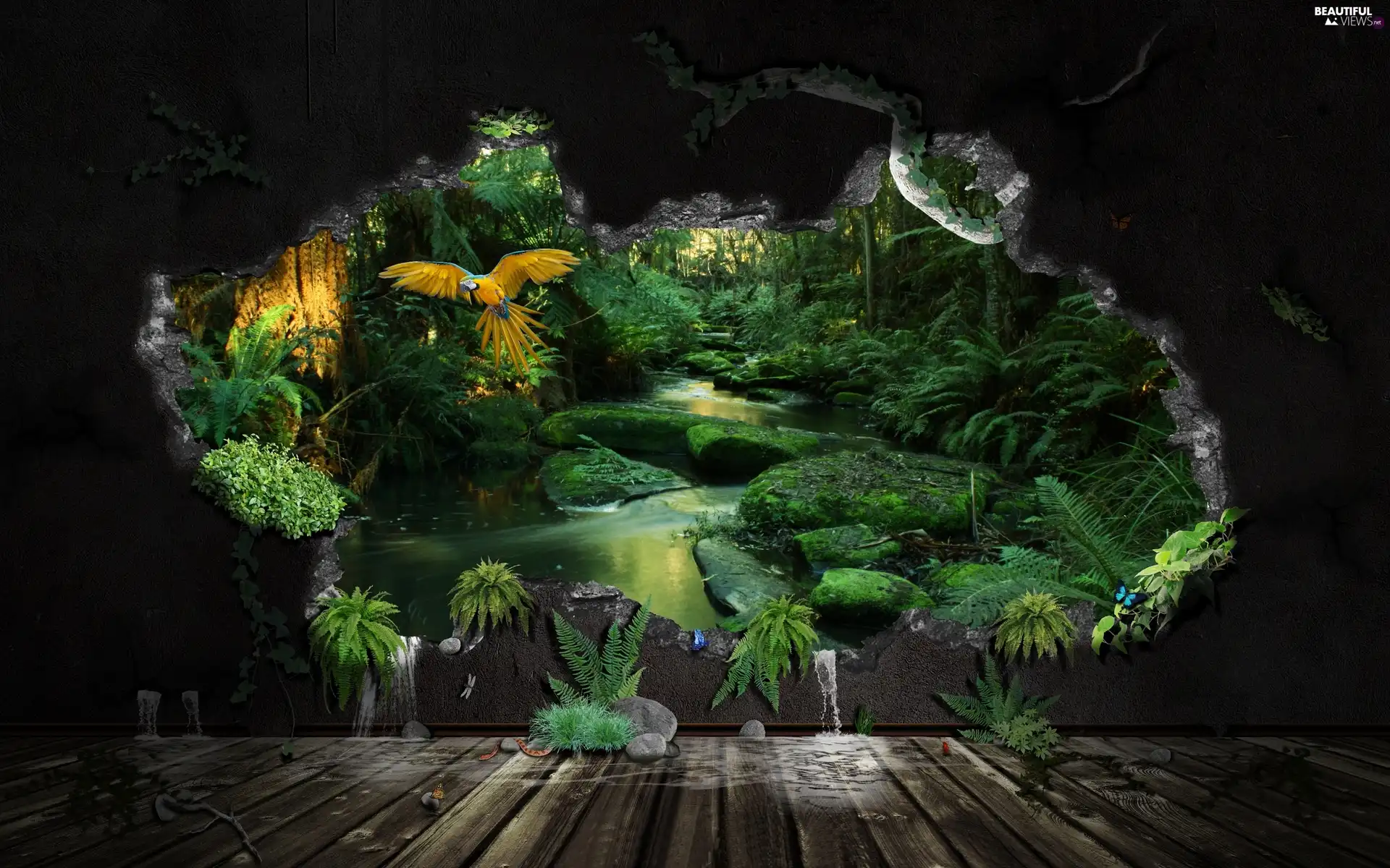 ##, wall, parrot, gap, jungle
