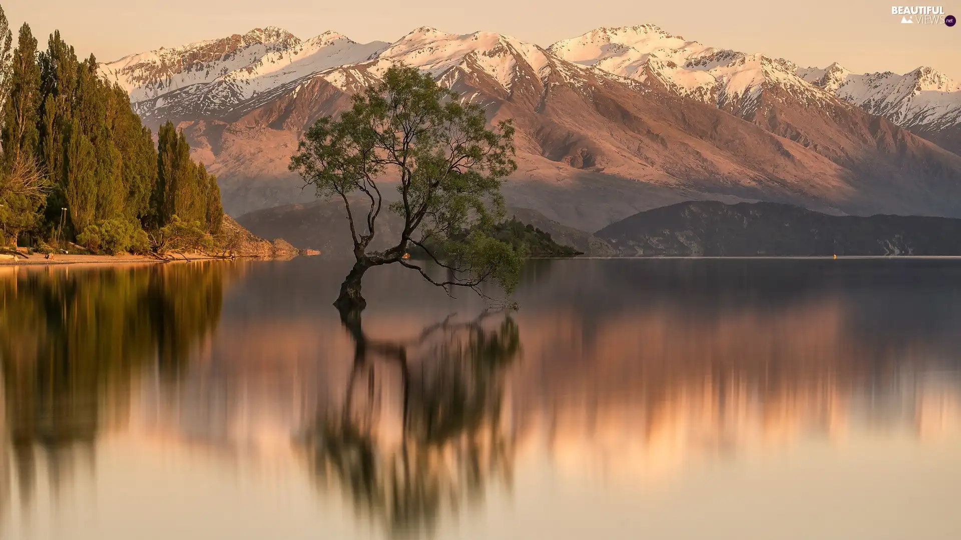 Wanaka Lake, Snowy, reflection, peaks, Mountains, trees, New Zeland