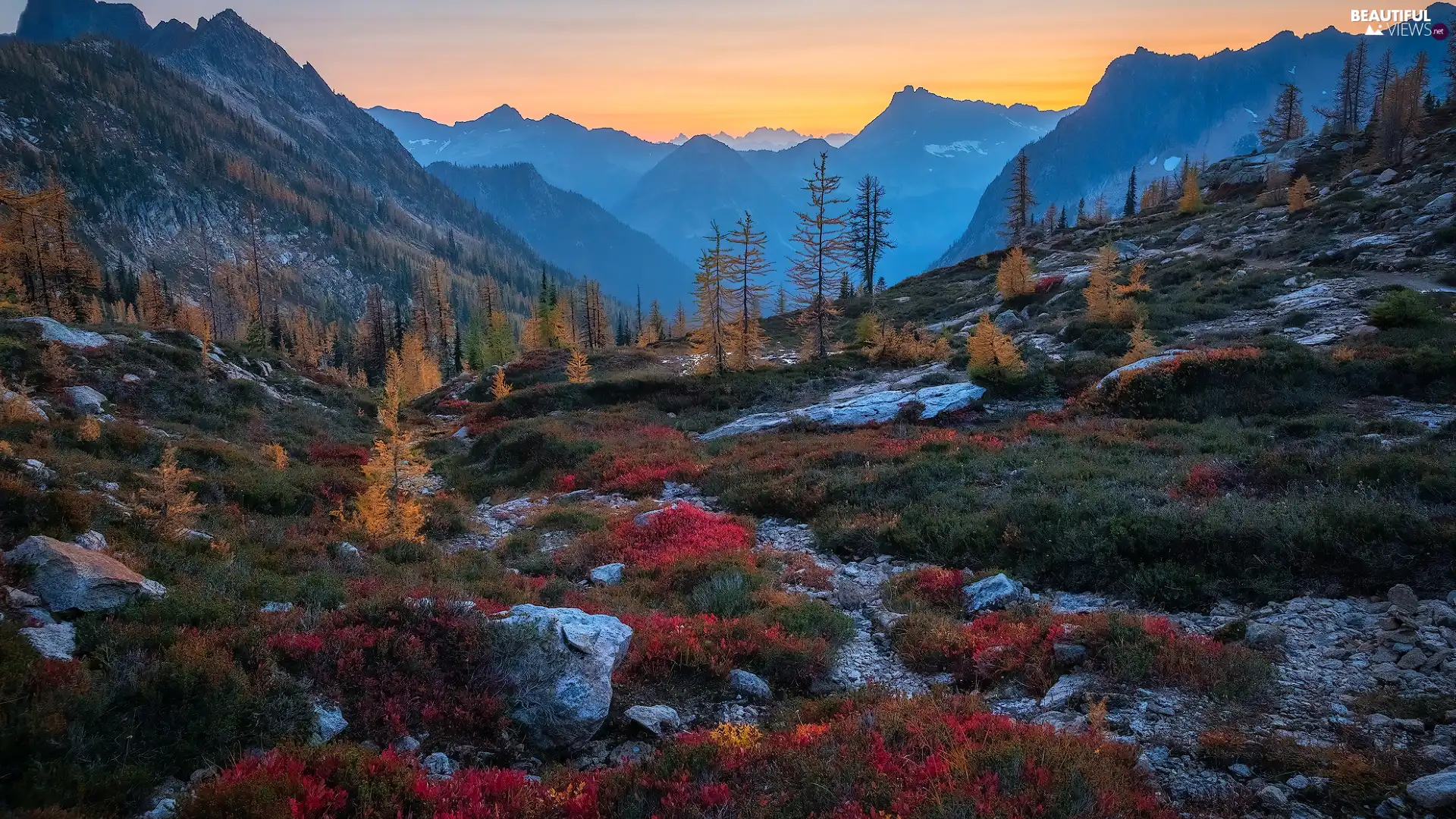 Mountains, autumn, North Cascades National Park, trees, Washington State, The United States, Coloured, VEGETATION, viewes
