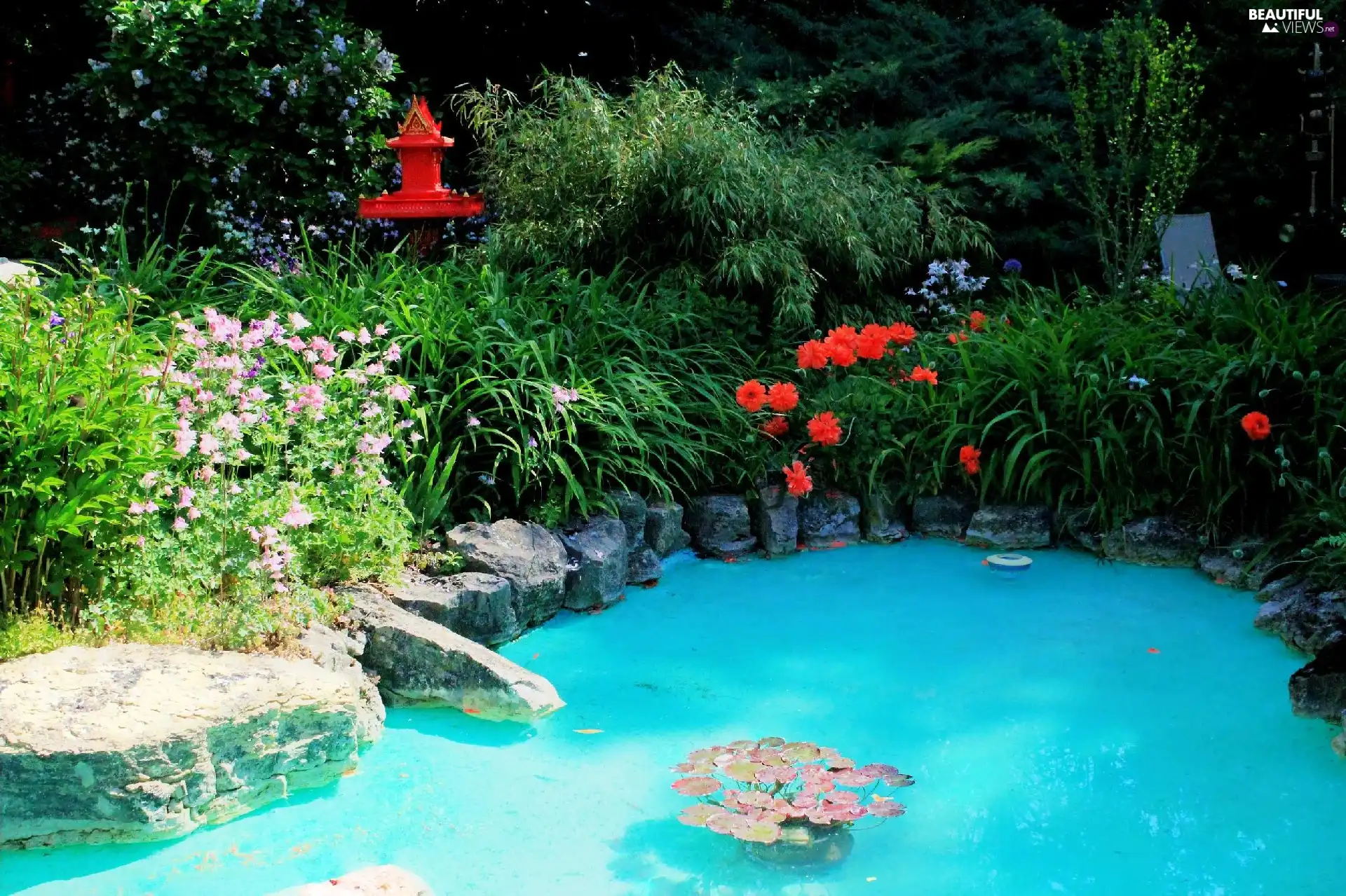 water, Garden, Flowers