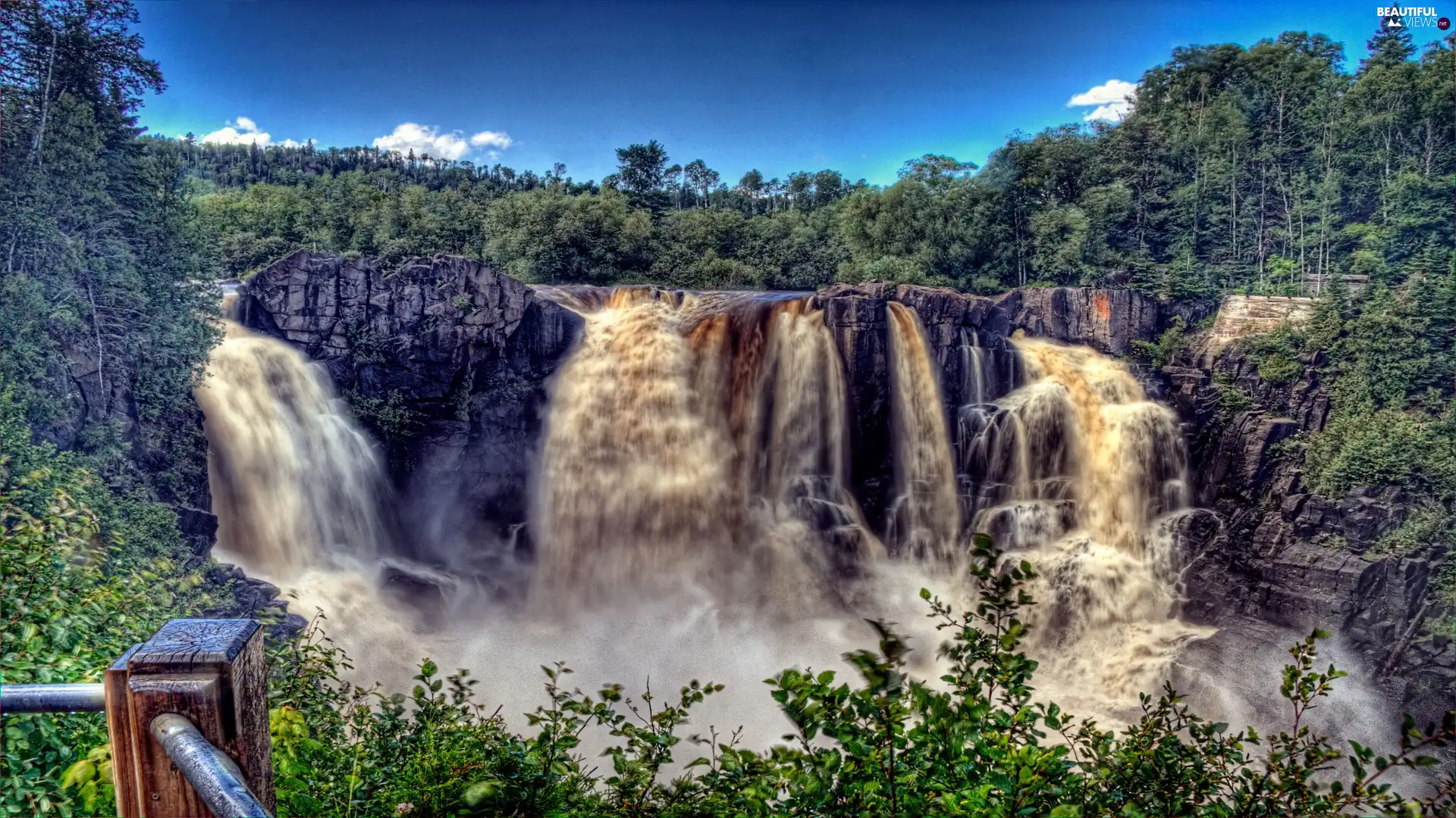 water, waterfall, forest