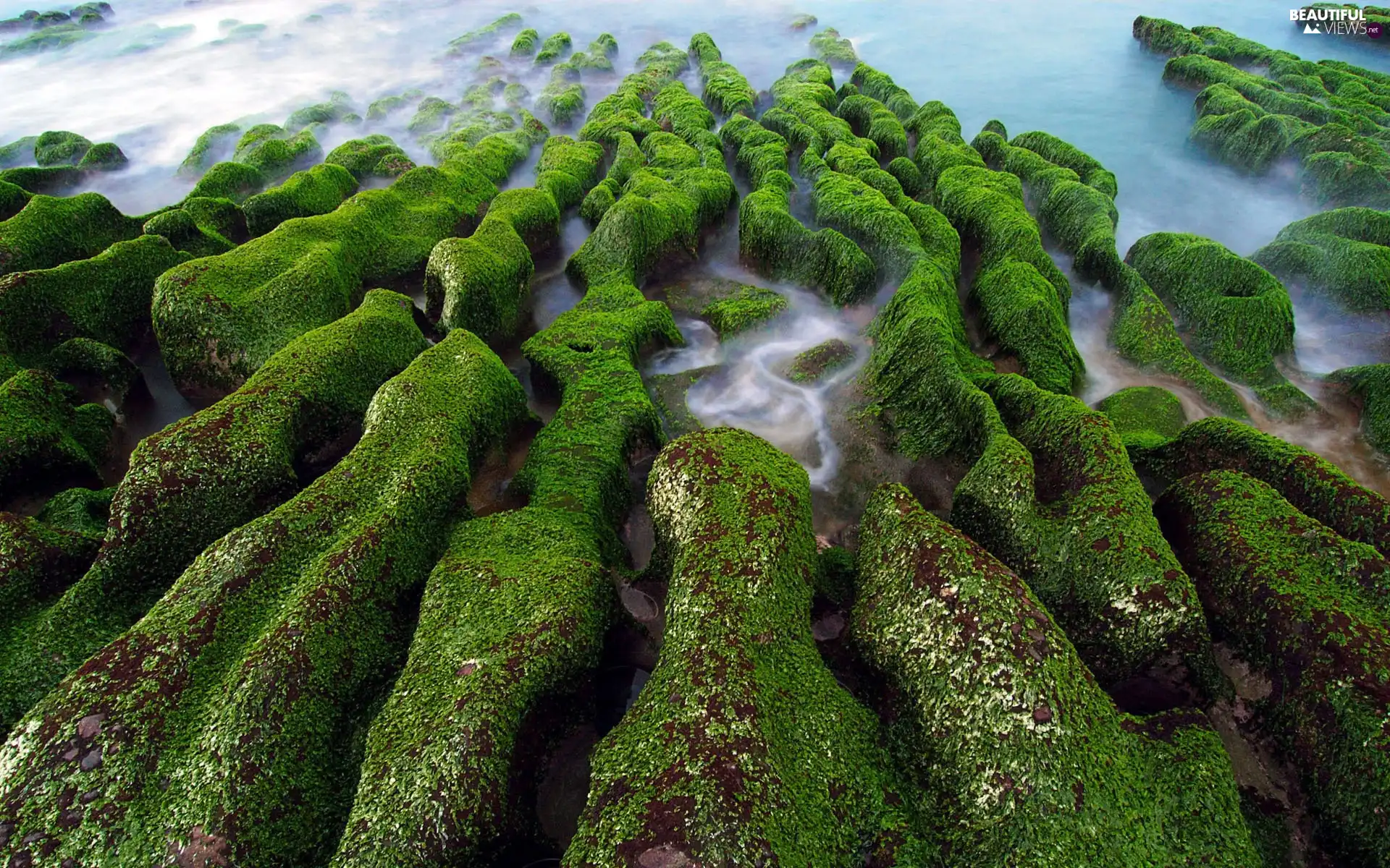water, Stones, Moss