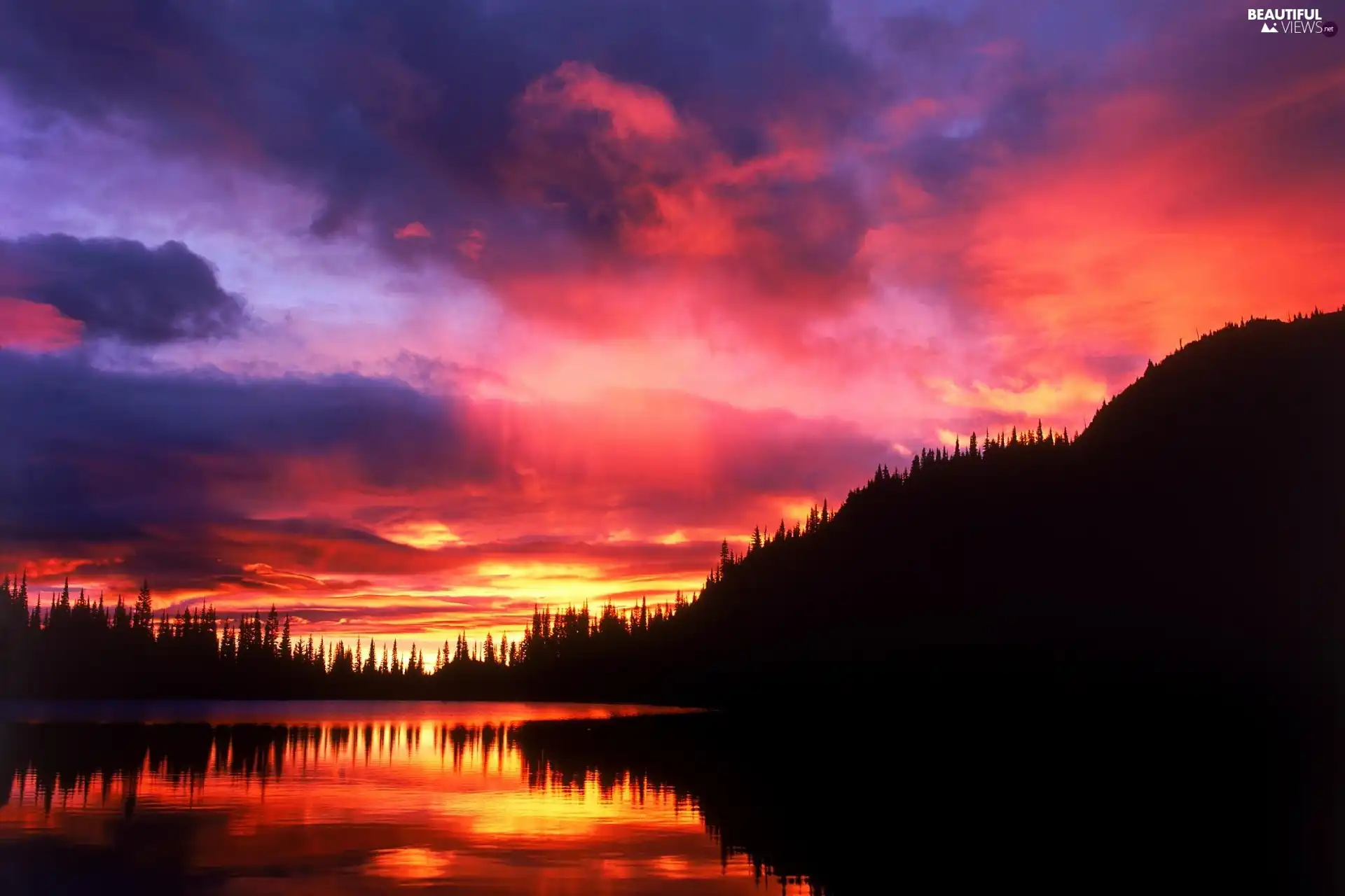 clouds, sun, forest, Sky, west, water, mountains