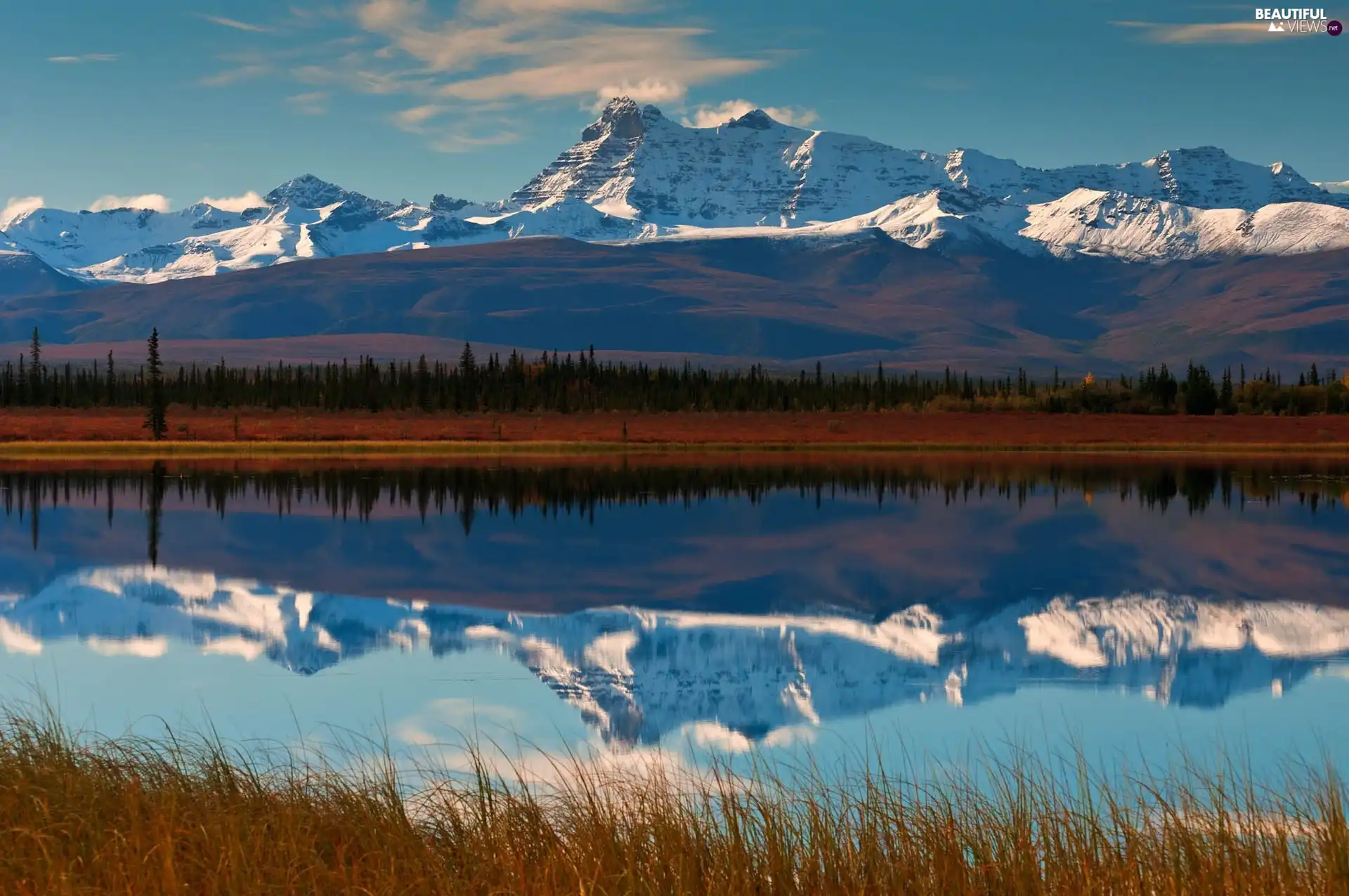 water, reflection, trees, viewes, Mountains