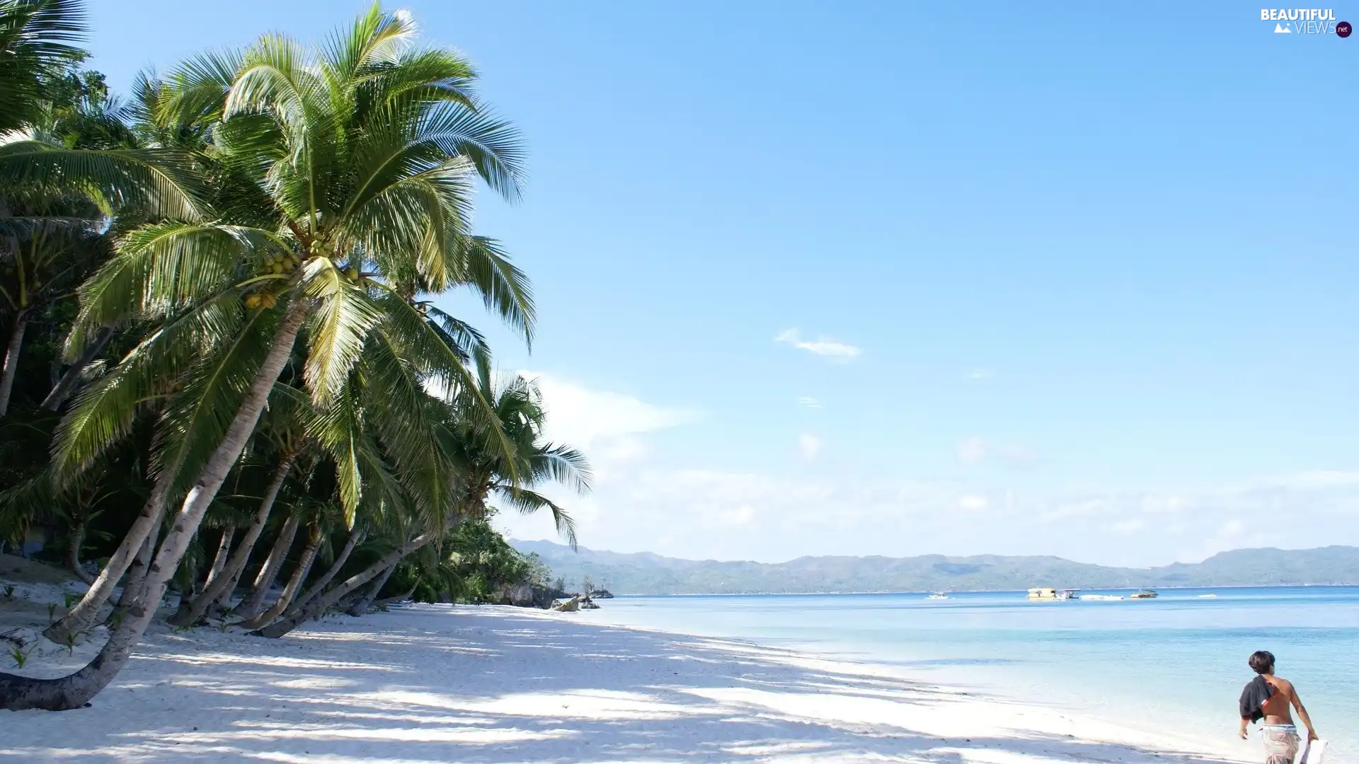 water, Sky, Palms, a man, Sand