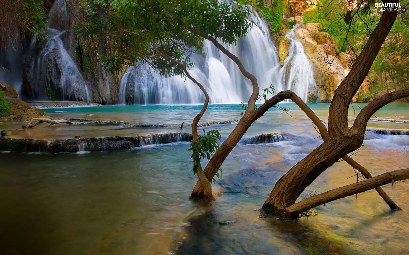 water, trees, waterfall