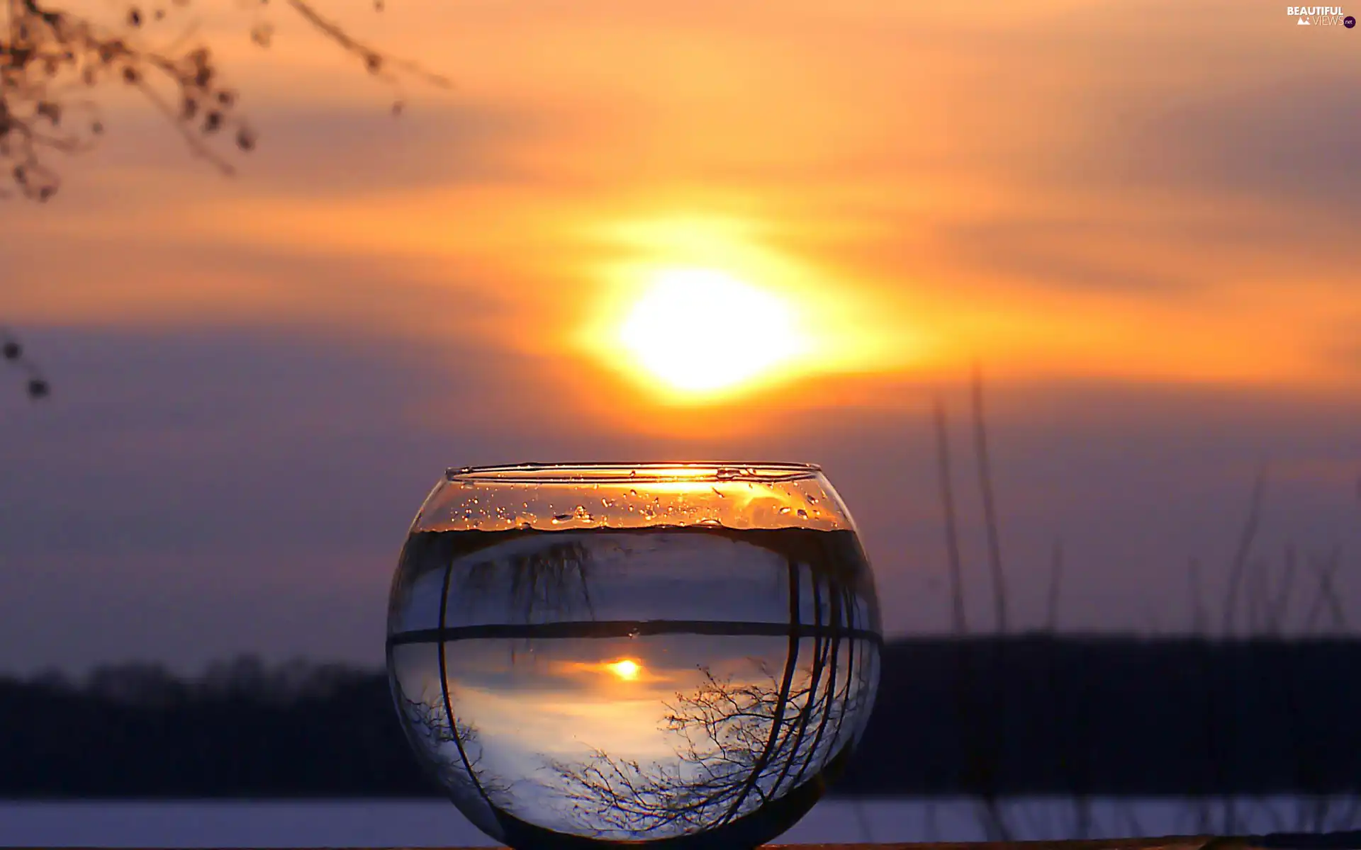 west, wine glass, water, sun