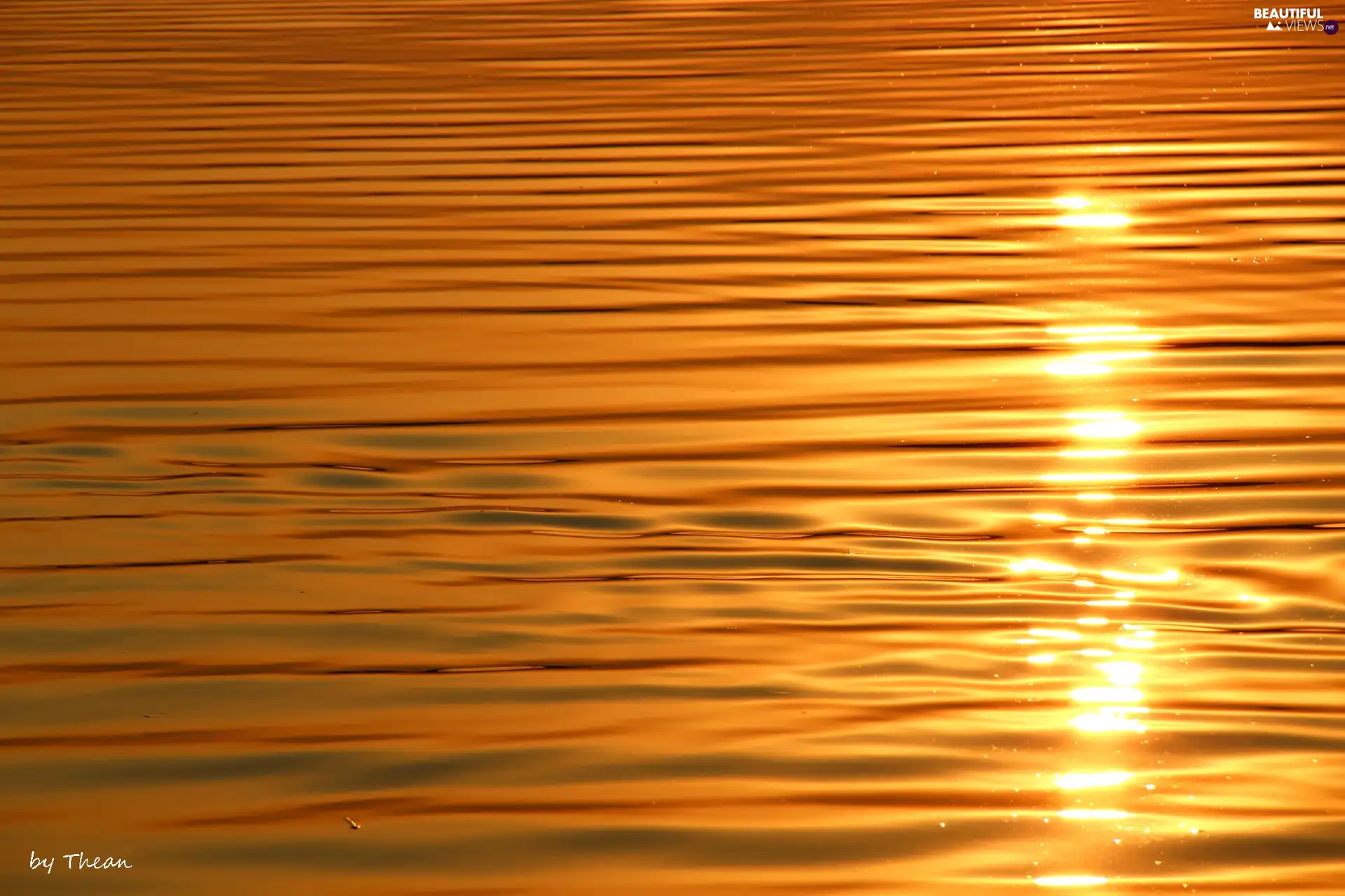 ##, water, sun, reflection, west