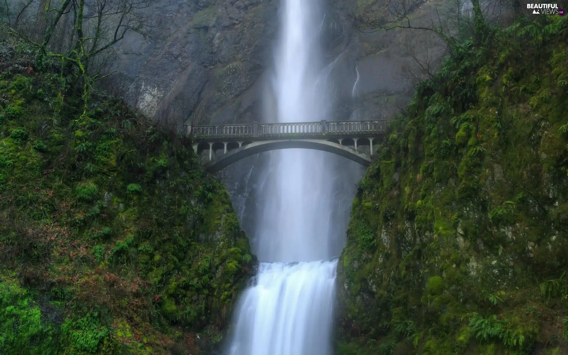 bridge, waterfall
