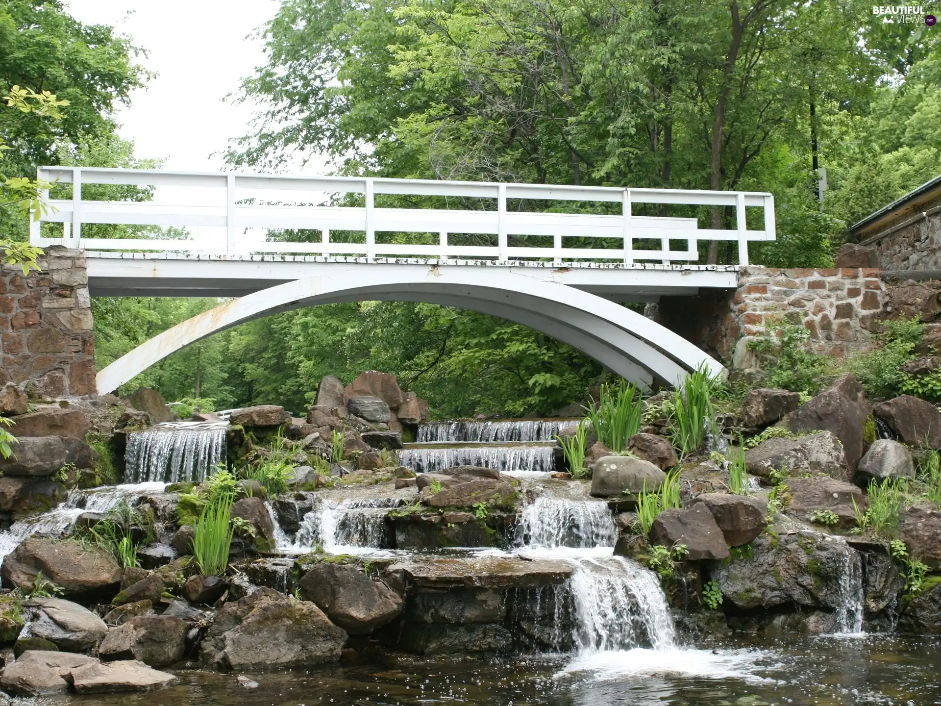 bridges, brook, waterfall, rocks