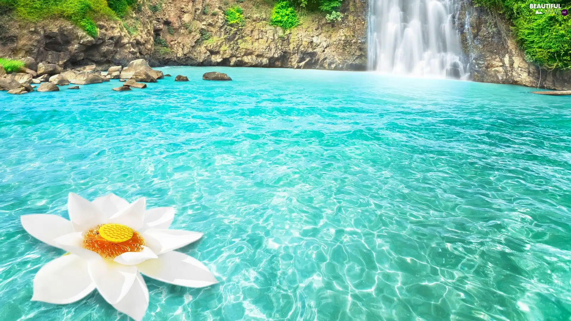 Colourfull Flowers, rocks, waterfall