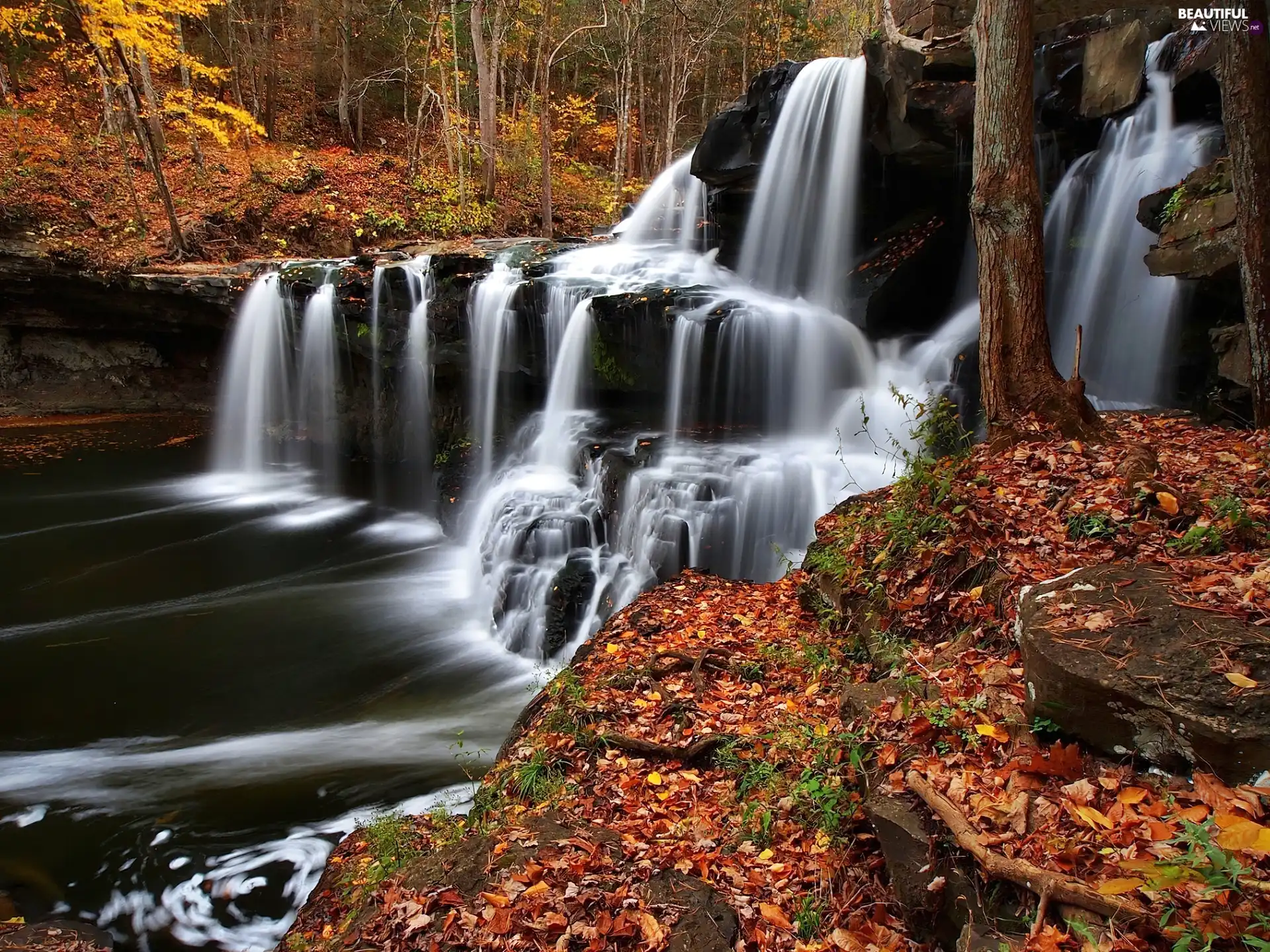 waterfall, autumn, forest