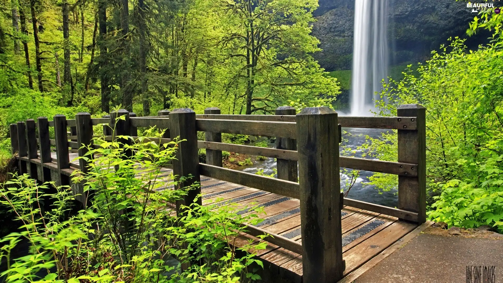 forest, bridges, waterfall, wooden