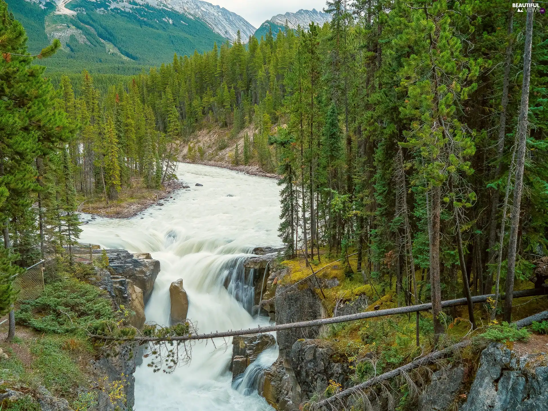 waterfall, Mountains, forest