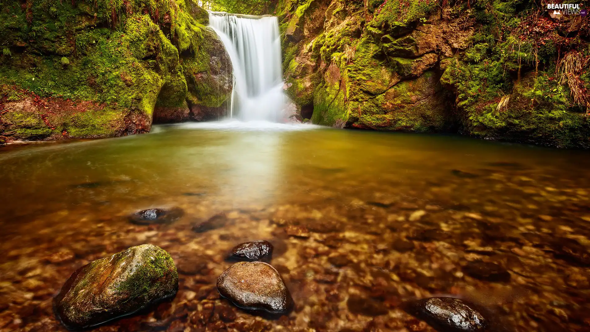 waterfall, Stones, forest