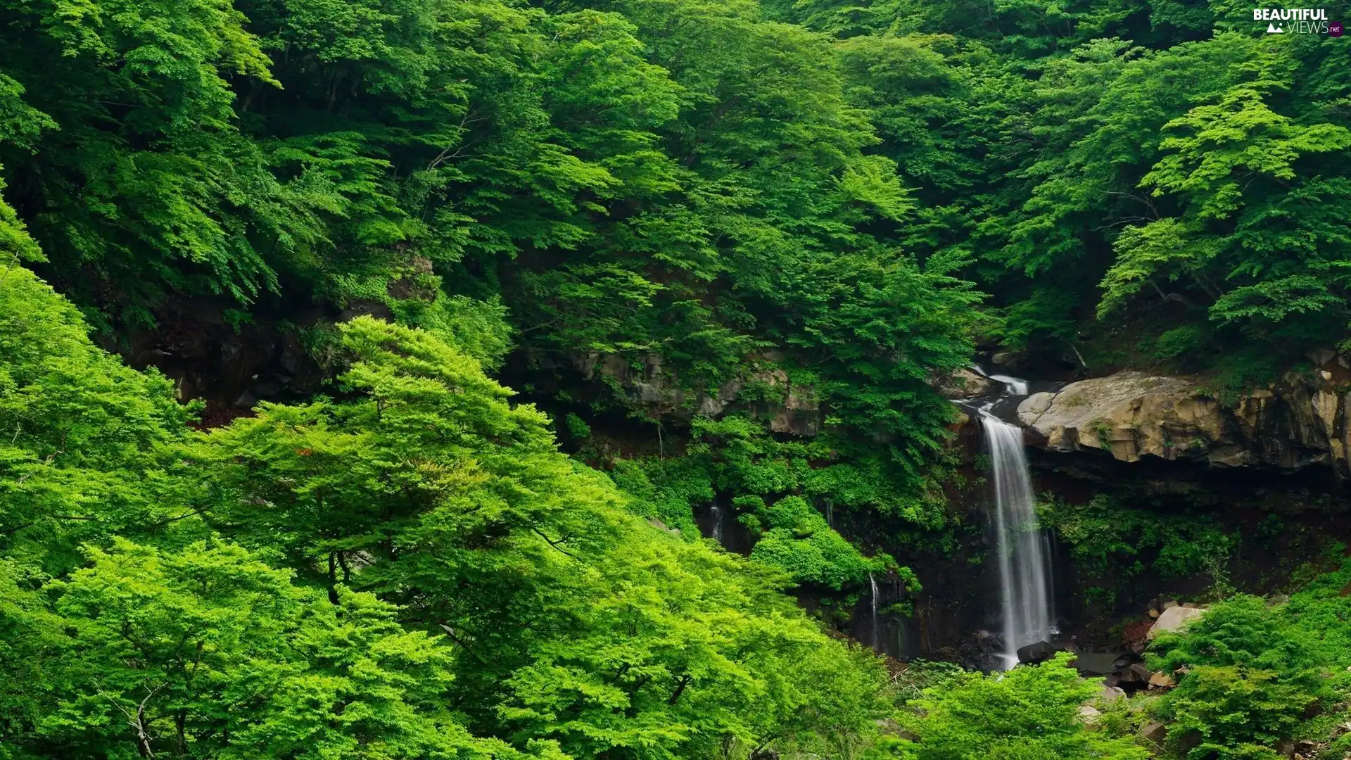 green, waterfall