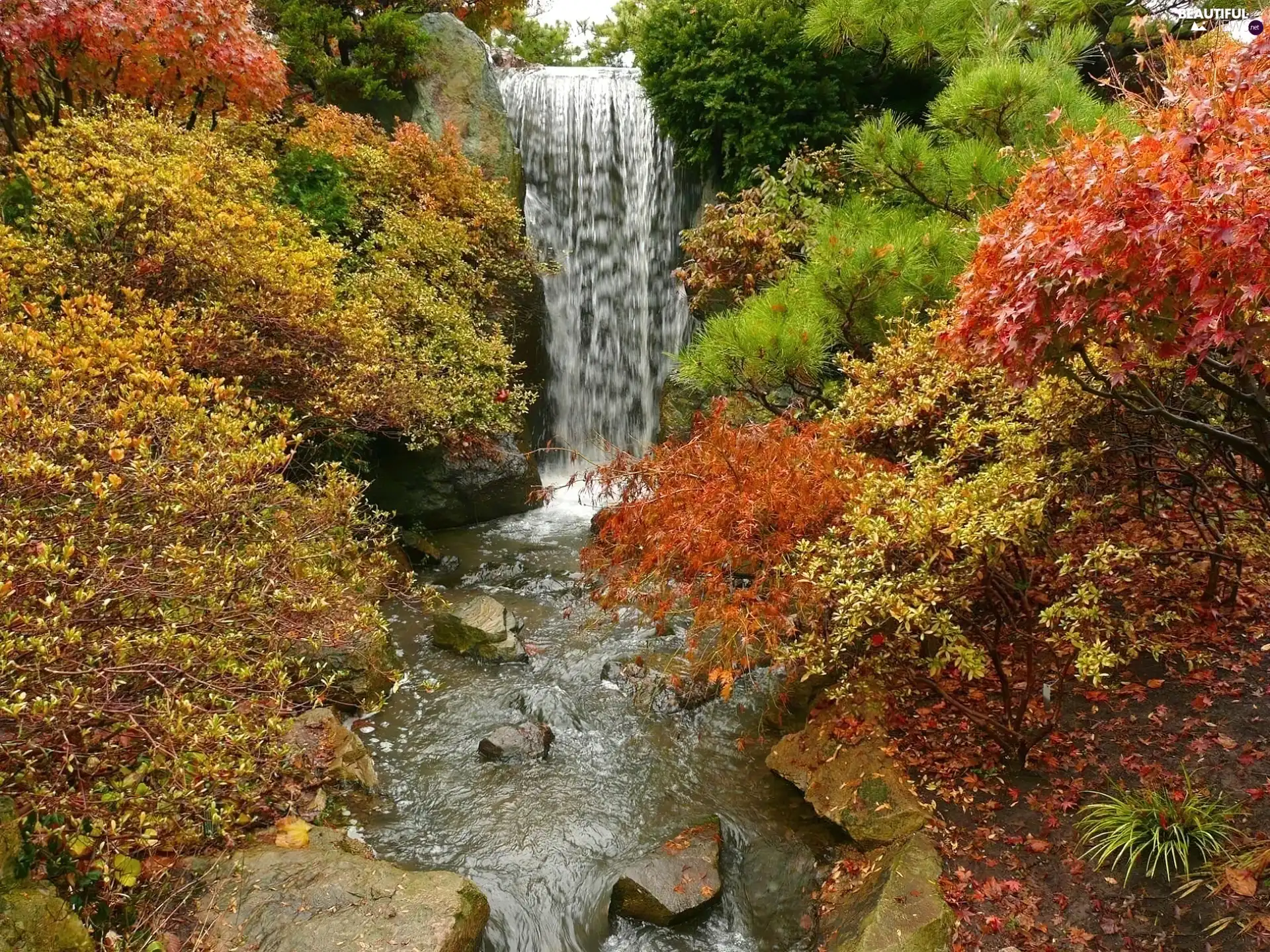 waterfall, Autumn, landscape