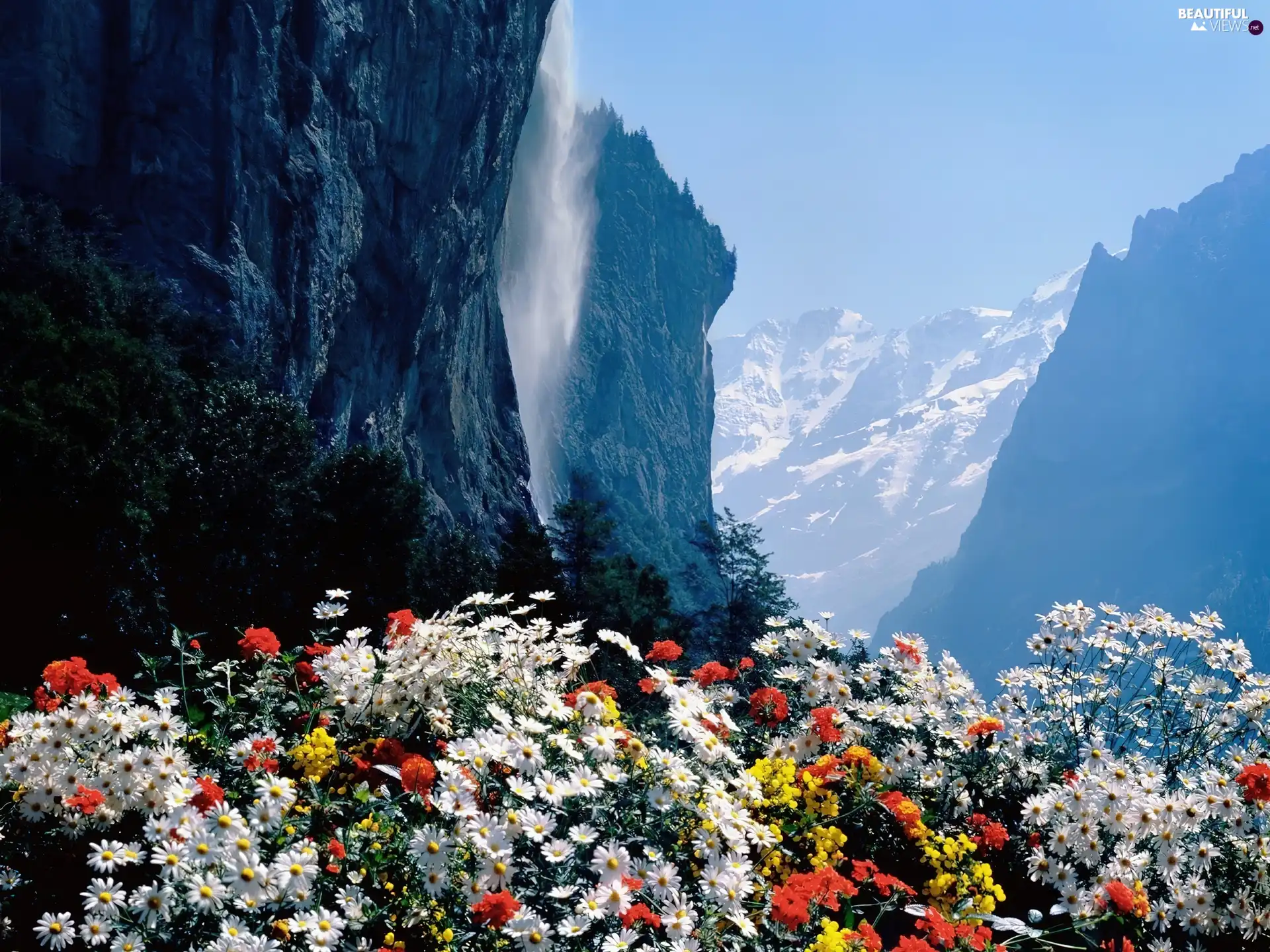 waterfall, Flowers, Mountains