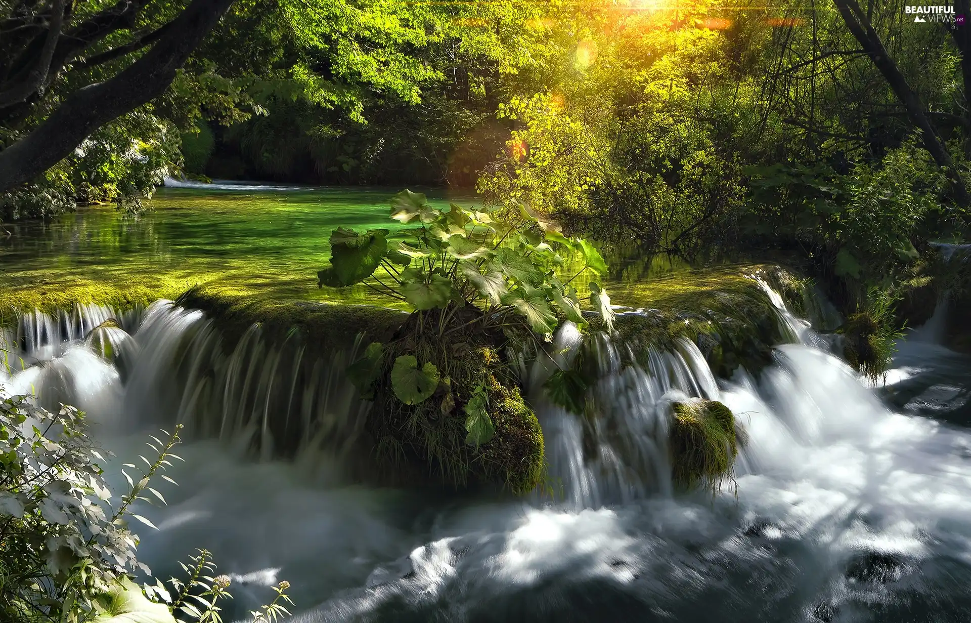 National Park Plitvice, River, waterfall, Coartia