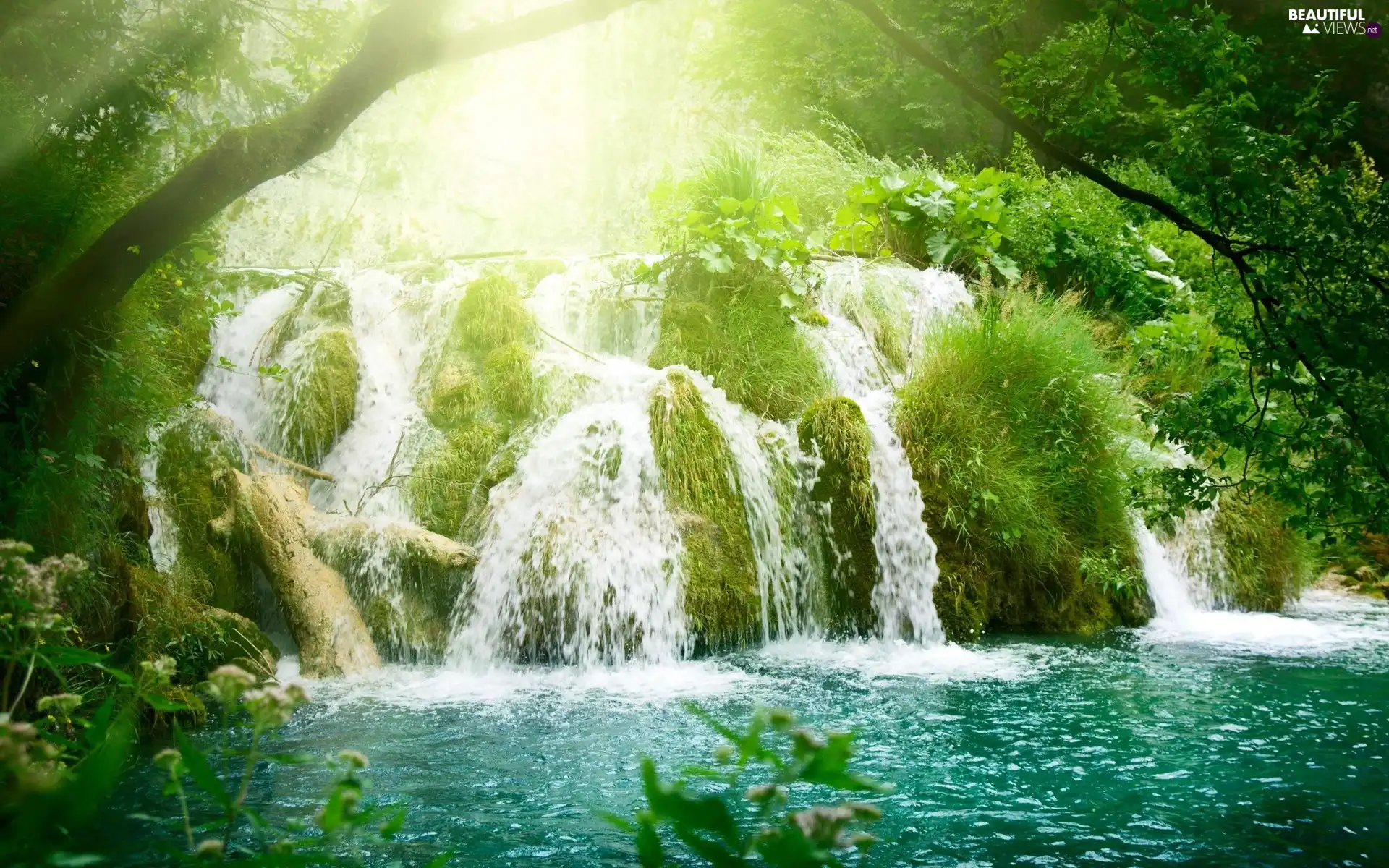 waterfall, forest, River
