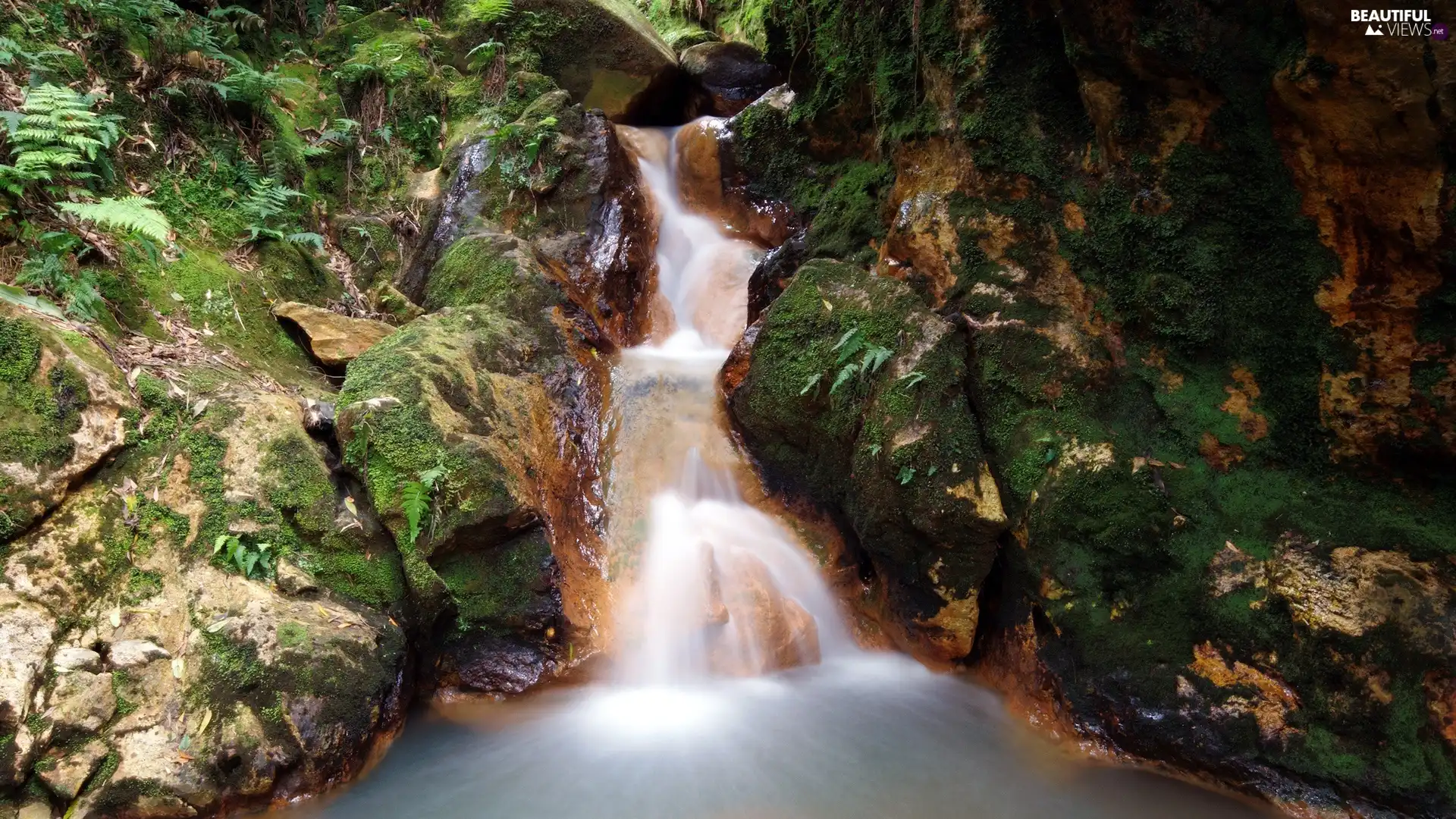 rocks, fern, waterfall, mosses