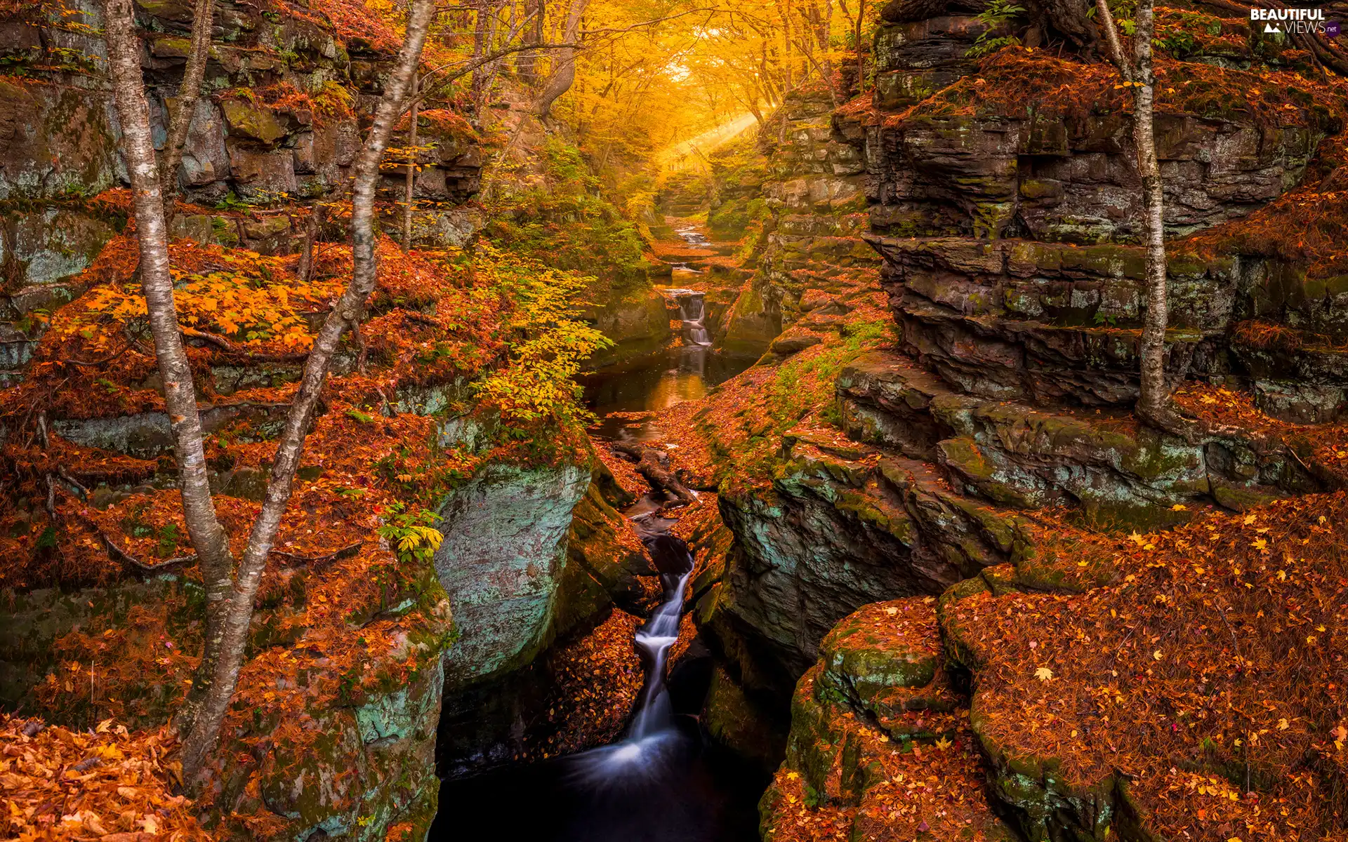 trees, autumn, River, waterfall, viewes, rocks
