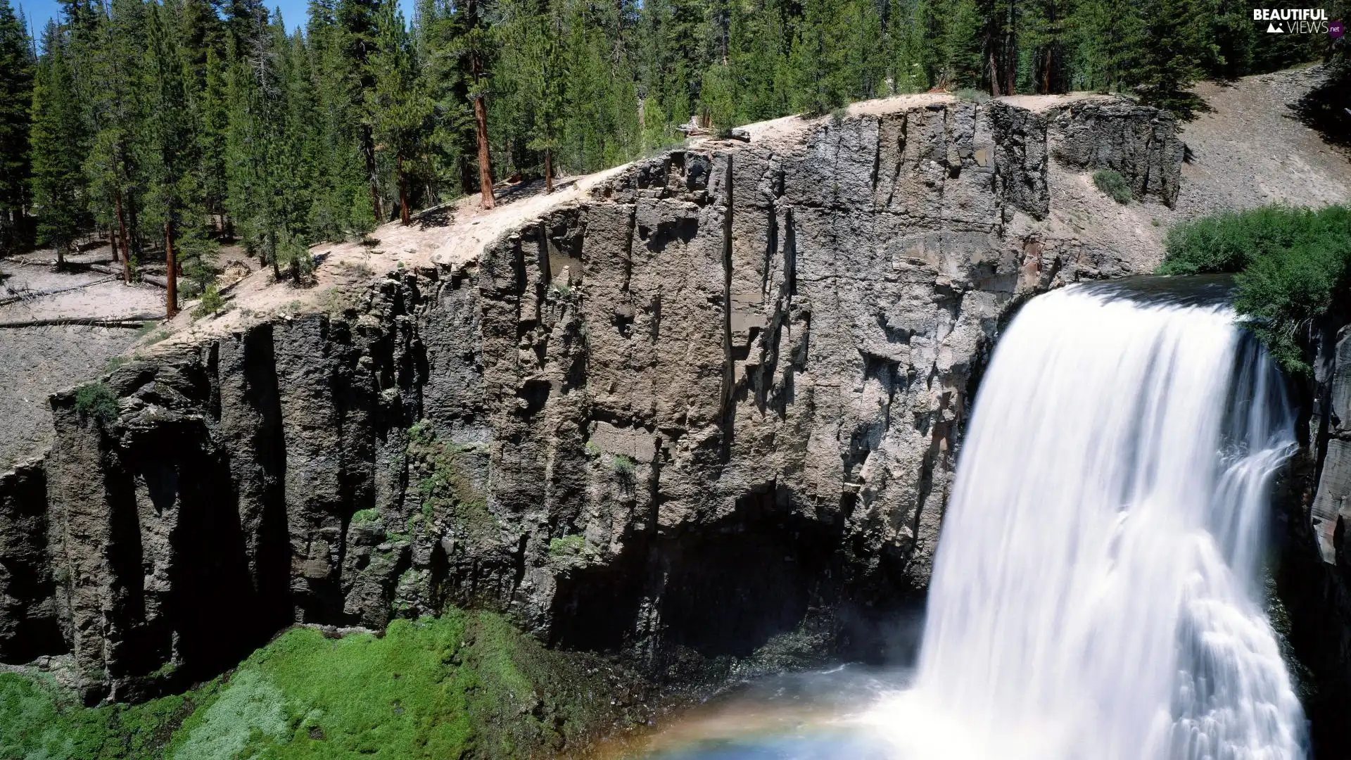 trees, Rocks, waterfall, viewes