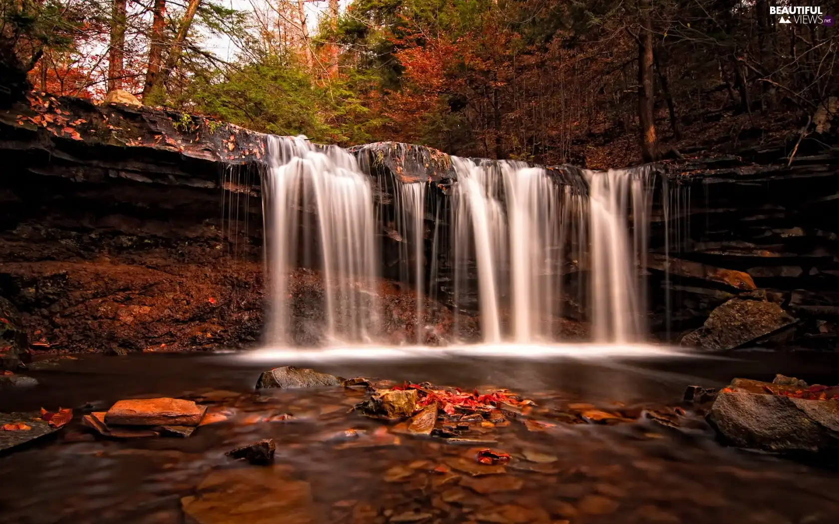 trees, Stones, waterfall, viewes