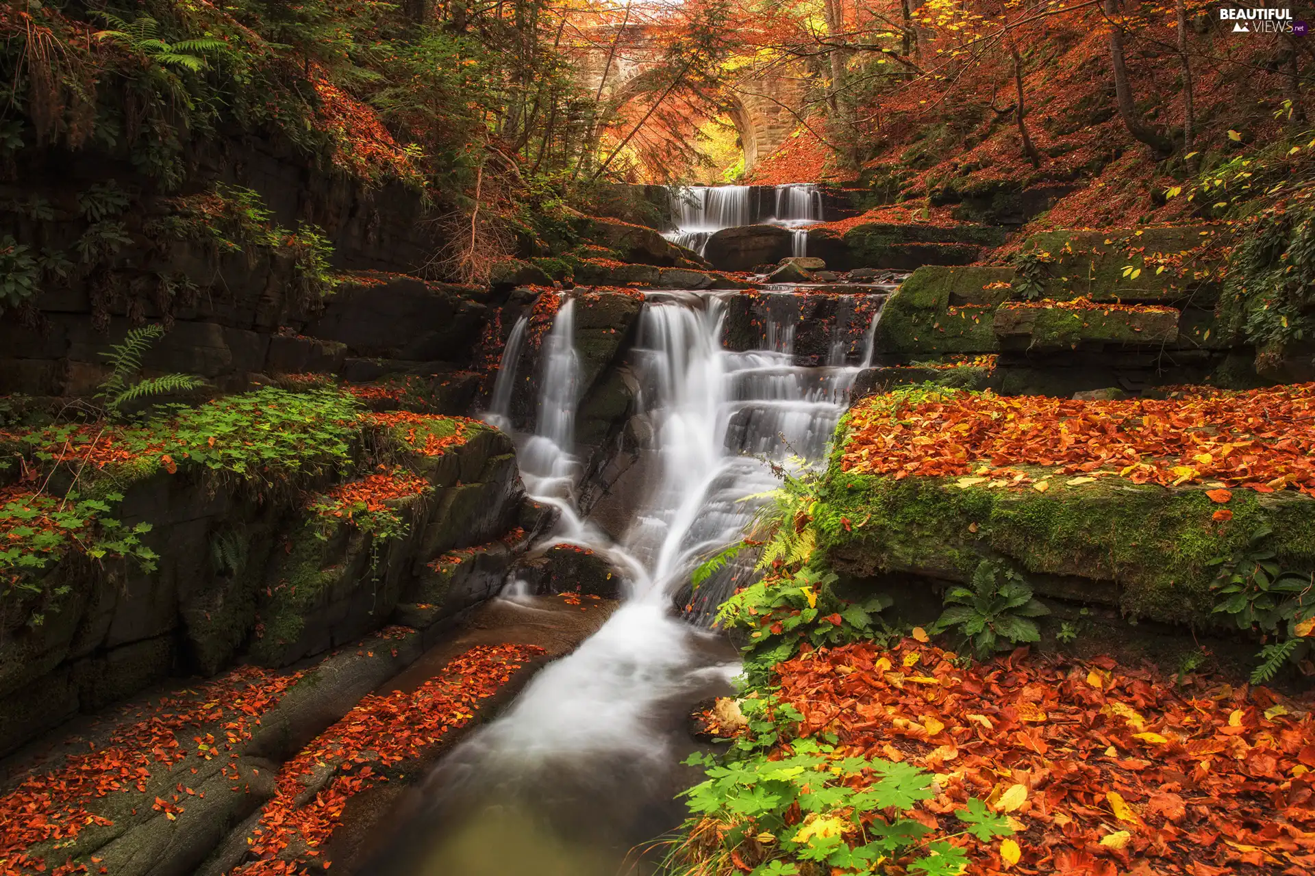 waterfall, forest, rocks, bridge, Leaf, autumn, viewes, fallen, trees