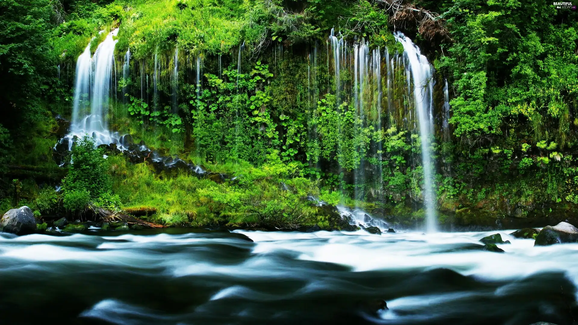 forest, green, waterfalls, River