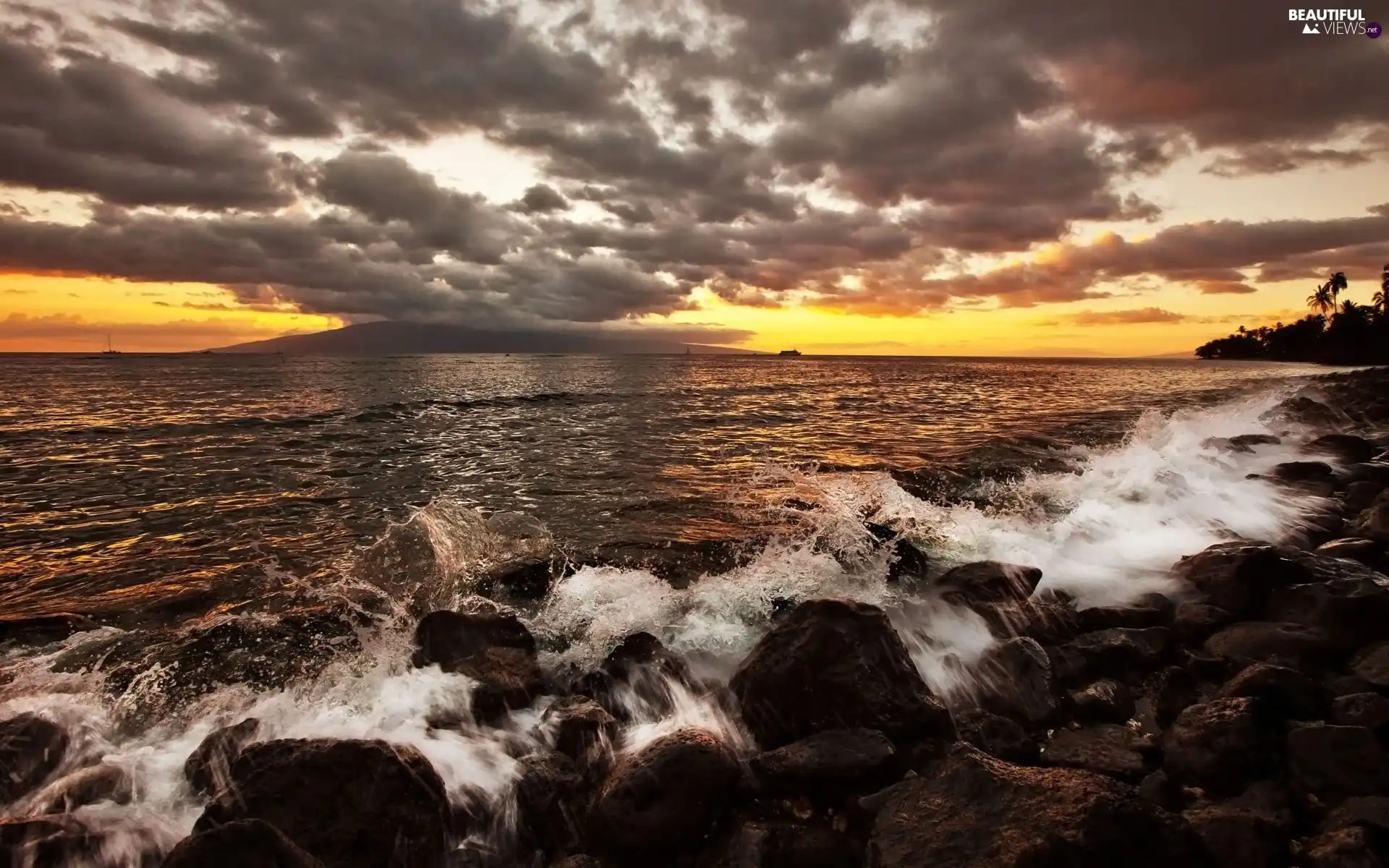 Waves, sea, Coast