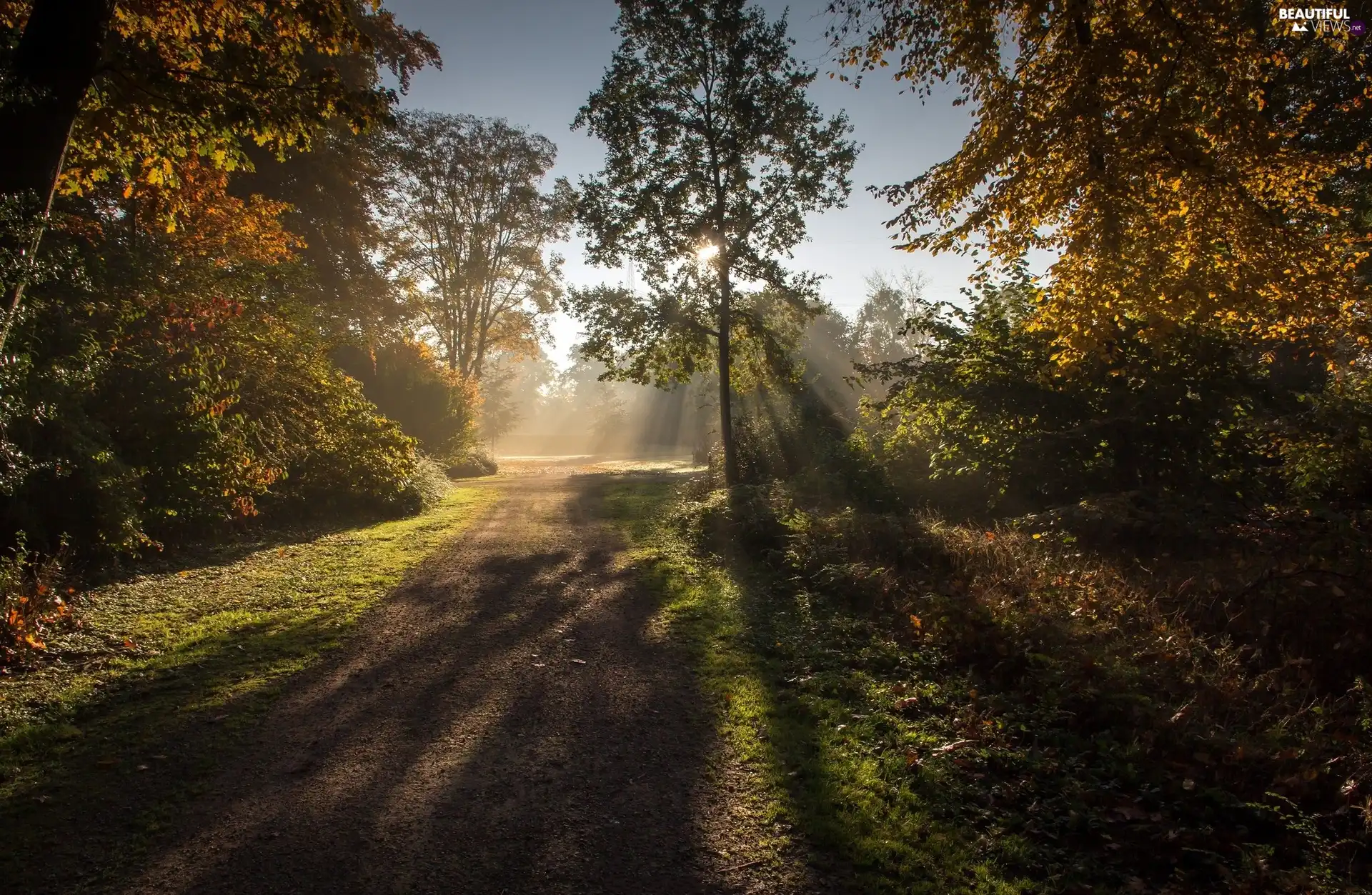 VEGETATION, light breaking through sky, trees, viewes, Way