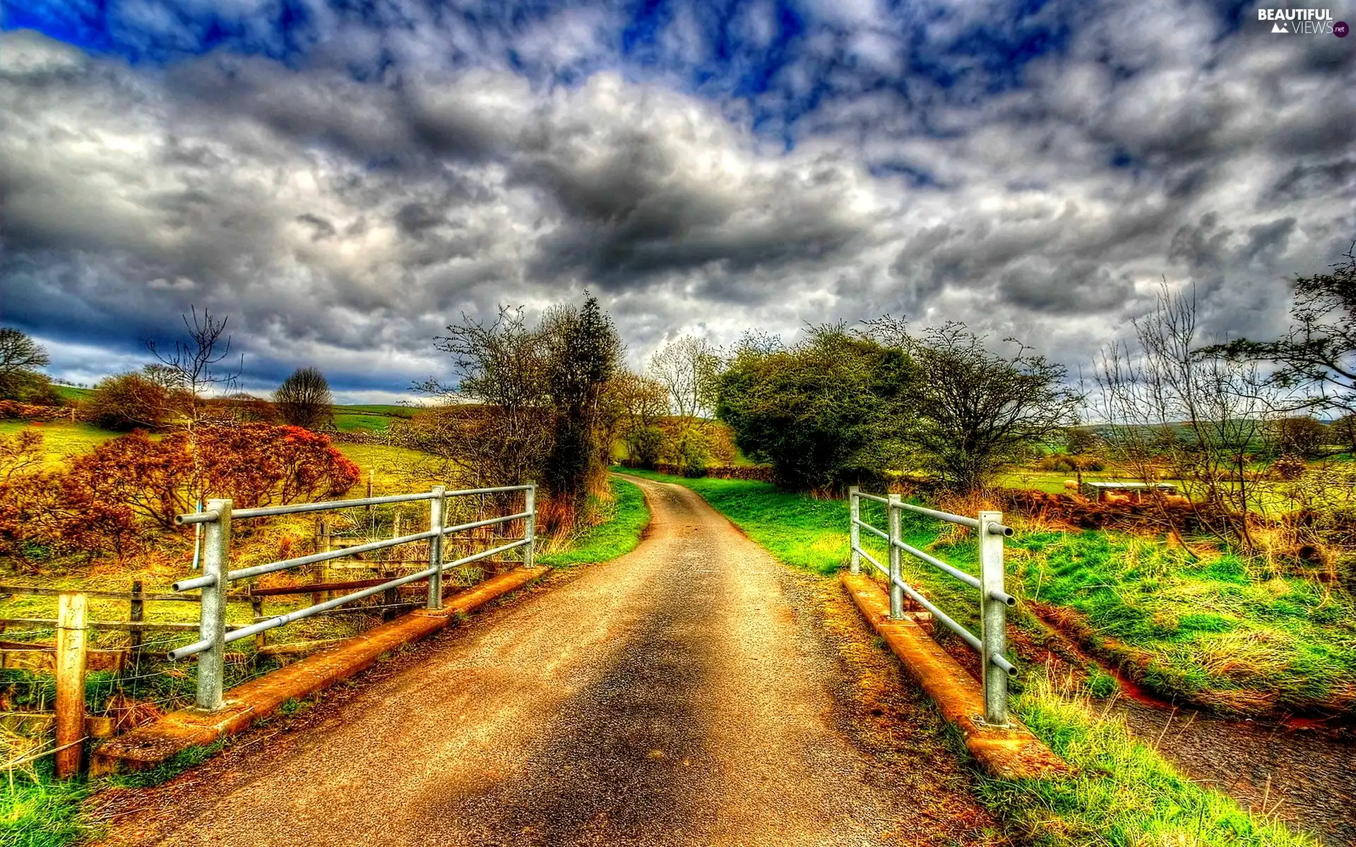 clouds, viewes, Way, trees