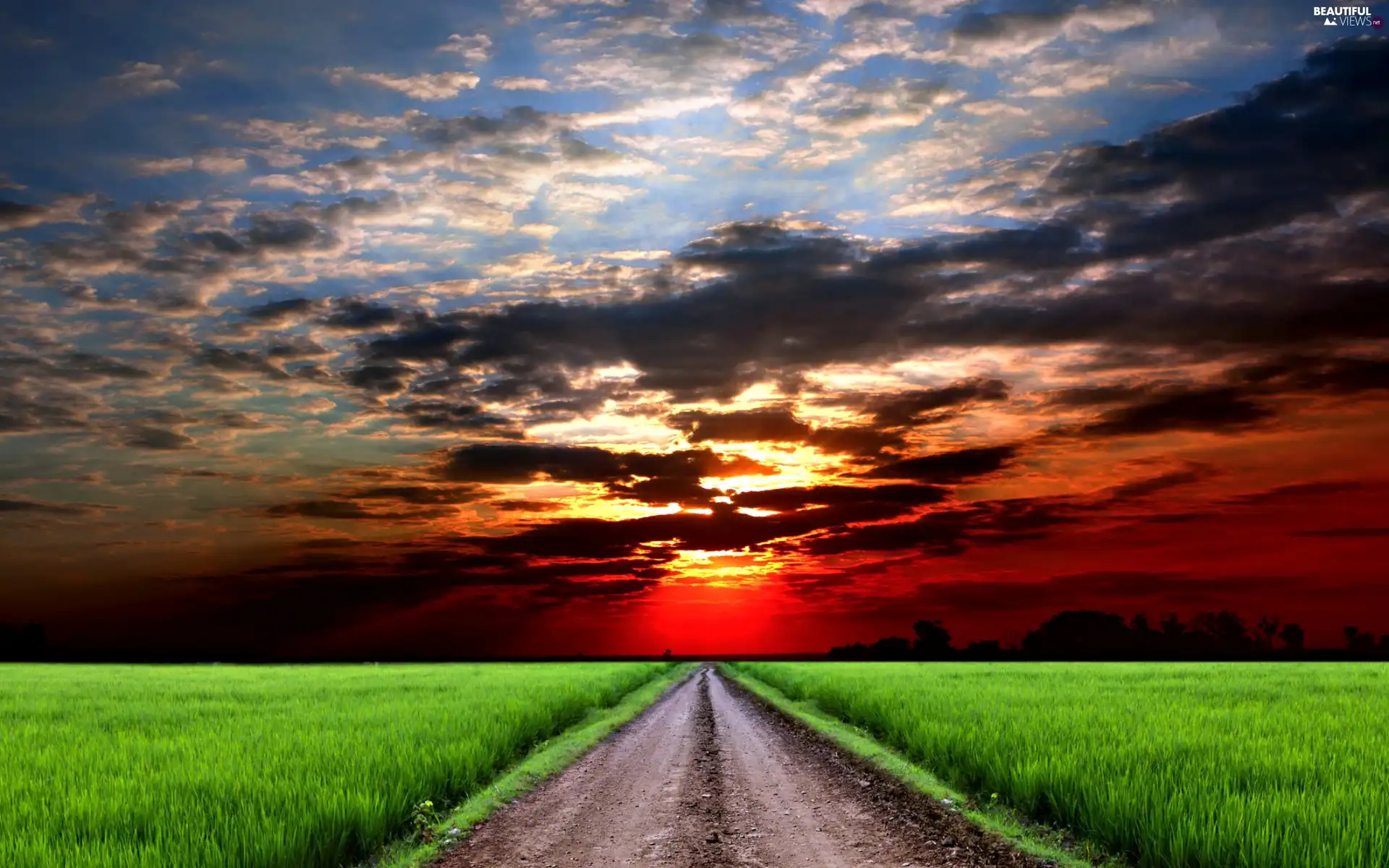 Way, field, sun, rural, west