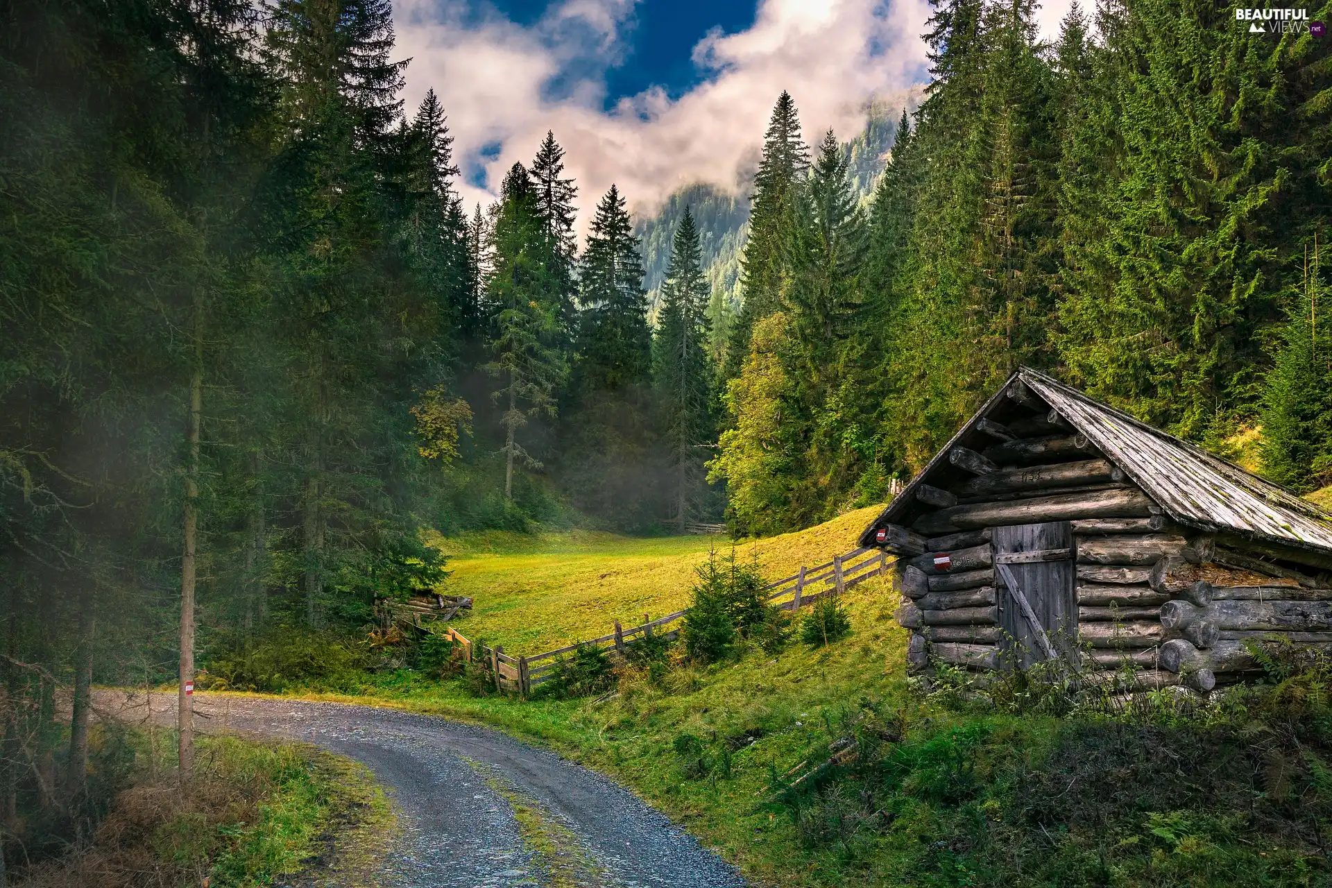 forest, cottage, Fog, Way