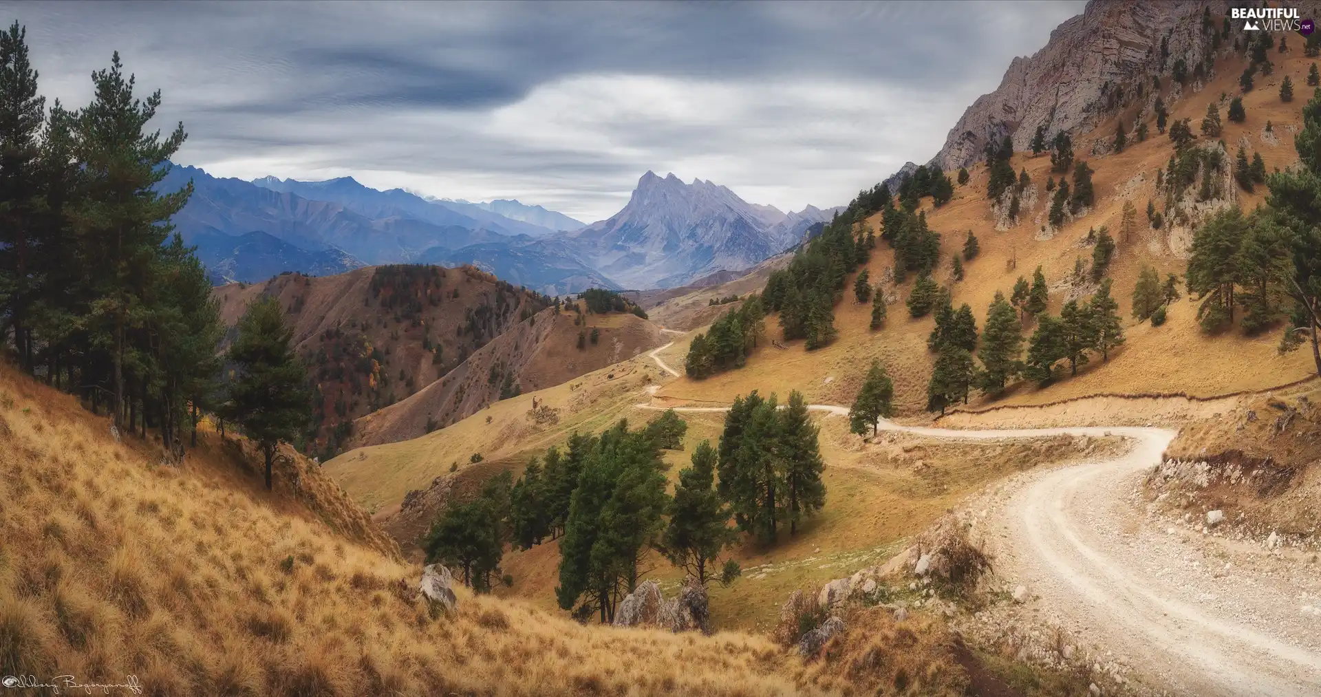 viewes, Way, rocks, trees, Mountains