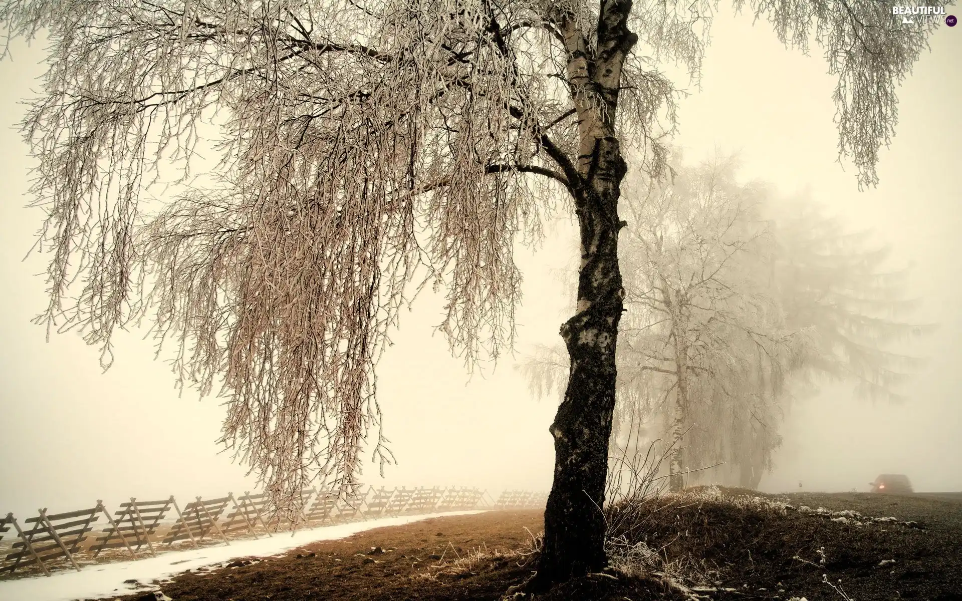 Way, winter, trees, viewes, Snowy